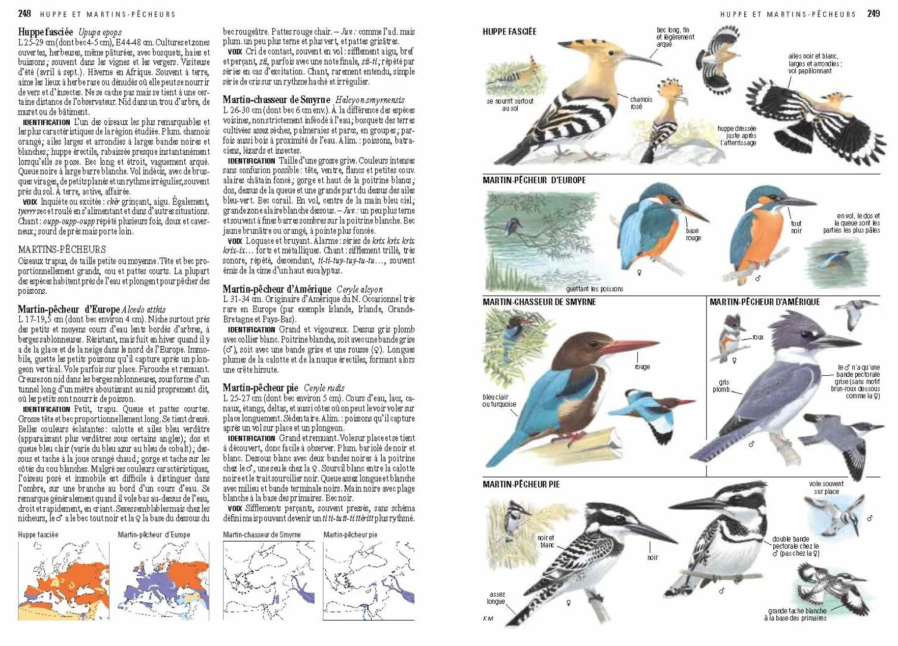 Le guide ornitho: Le guide le plus complet des oiseaux d'Europe, d'Afrique du Nord et du Moyen-Orient
