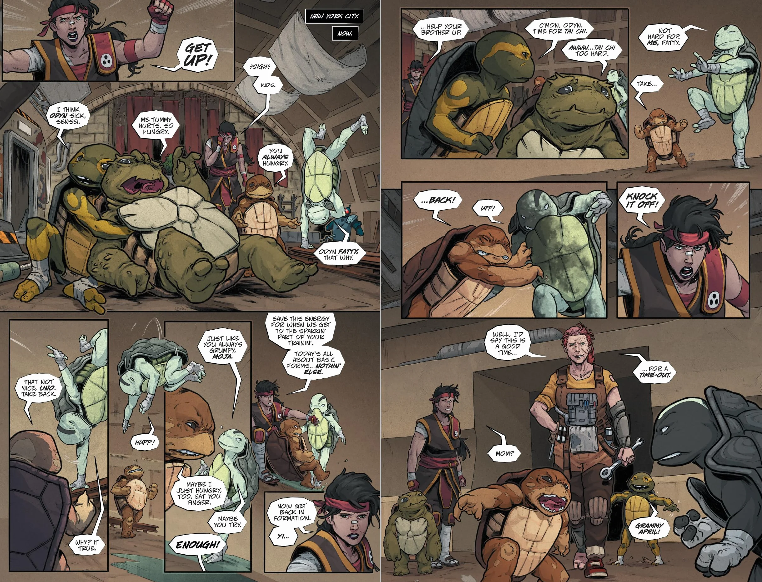 Teenage Mutant Ninja Turtles: The Last Ronin Box Set