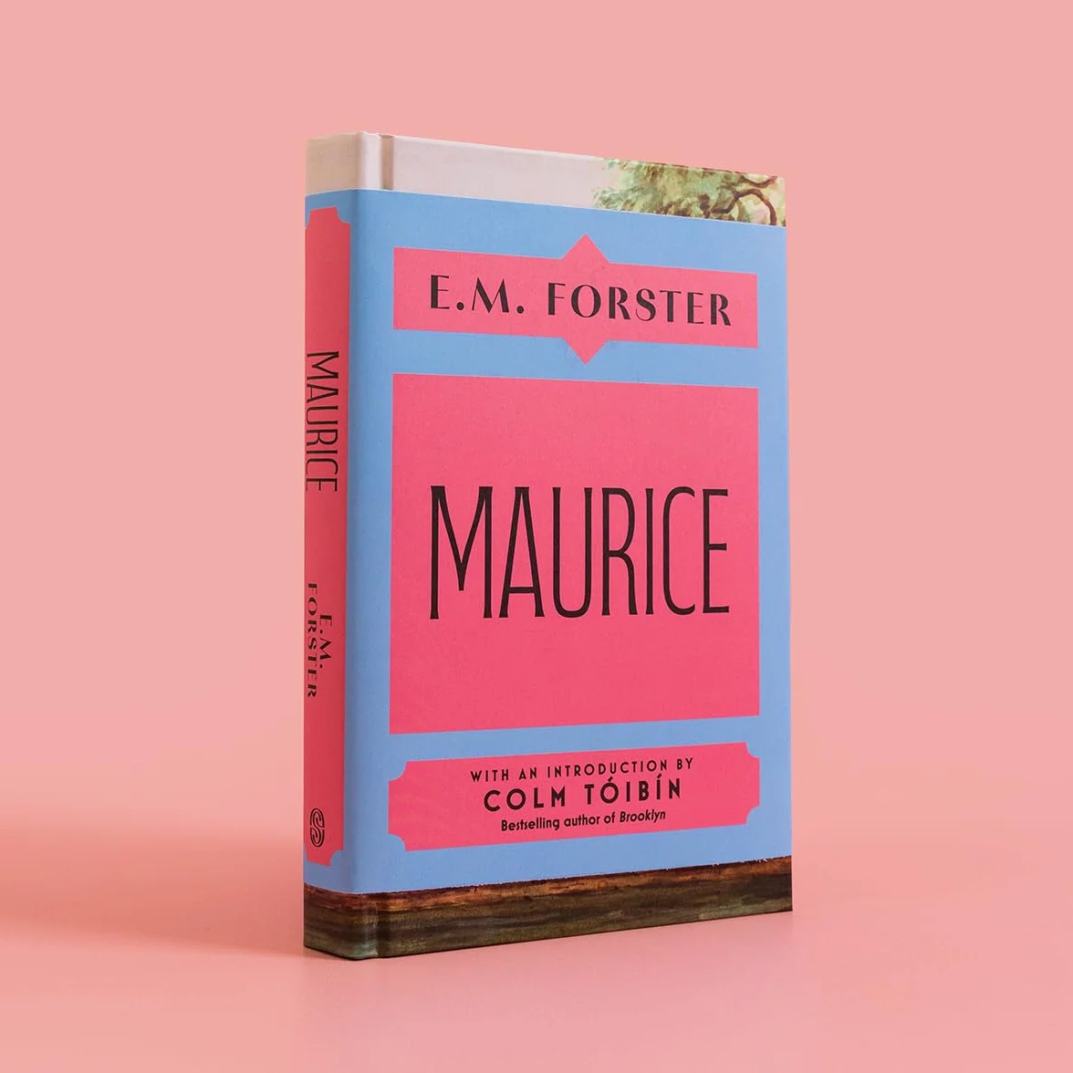 Maurice: With an introduction by Colm Tóibín, bestselling author of Brooklyn