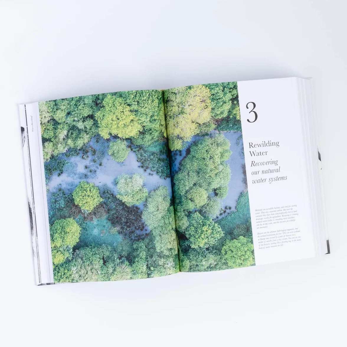 The Book of Wilding: A Practical Guide to Rewilding, Big and Small