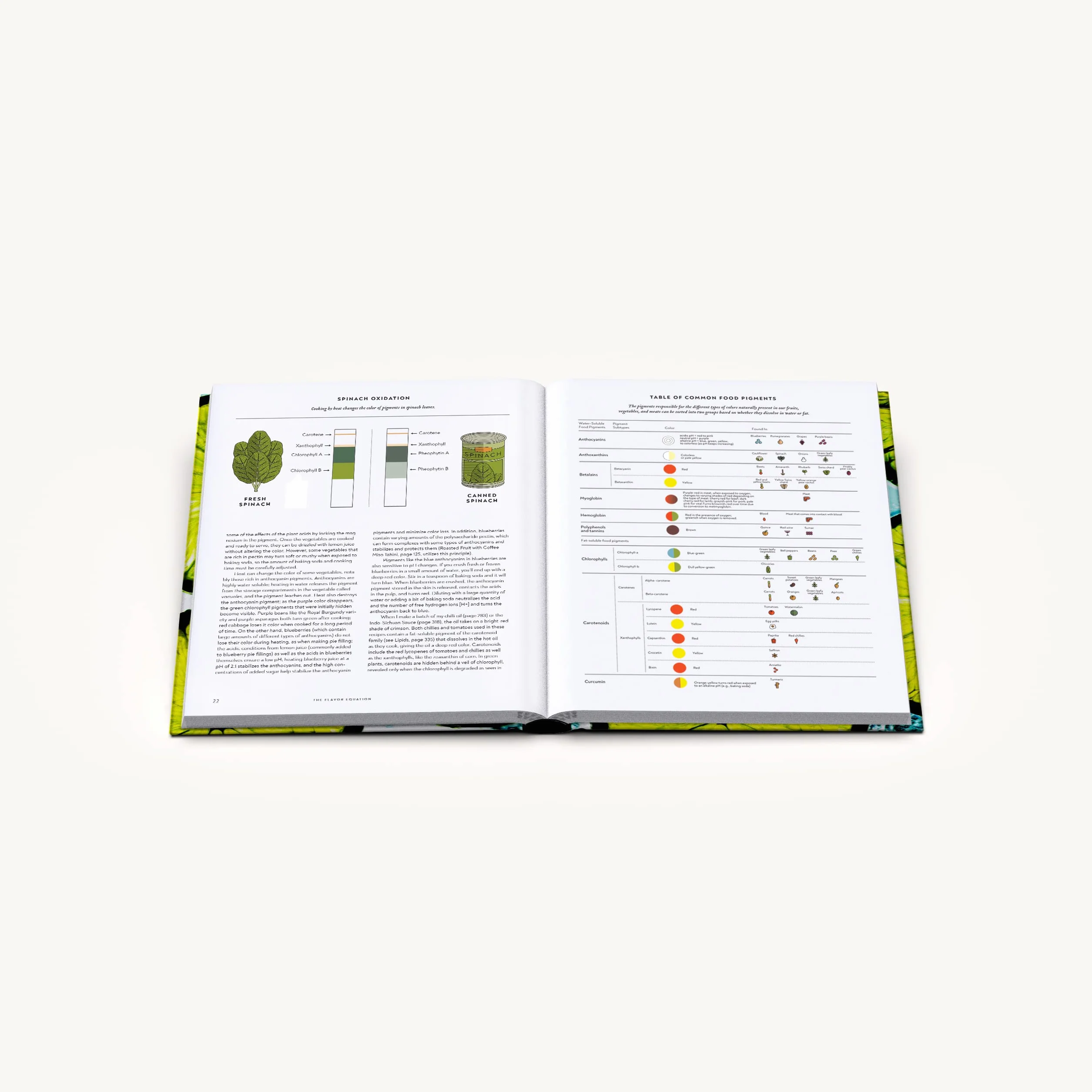The Flavor Equation: The Science of Great Cooking Explained + More Than 100 Essential Recipes