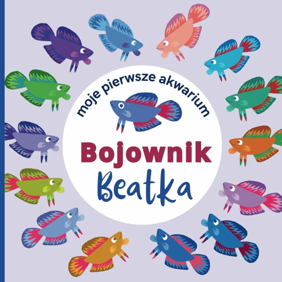Moje pierwsze akwarium: Bojownik Beatka