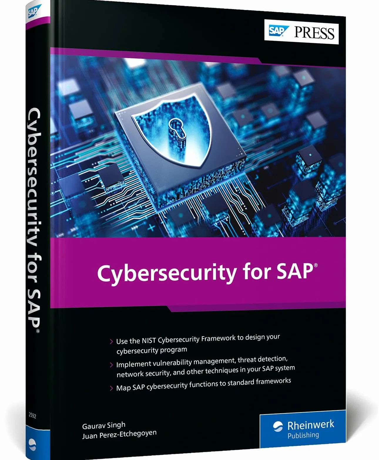 Cybersecurity for SAP