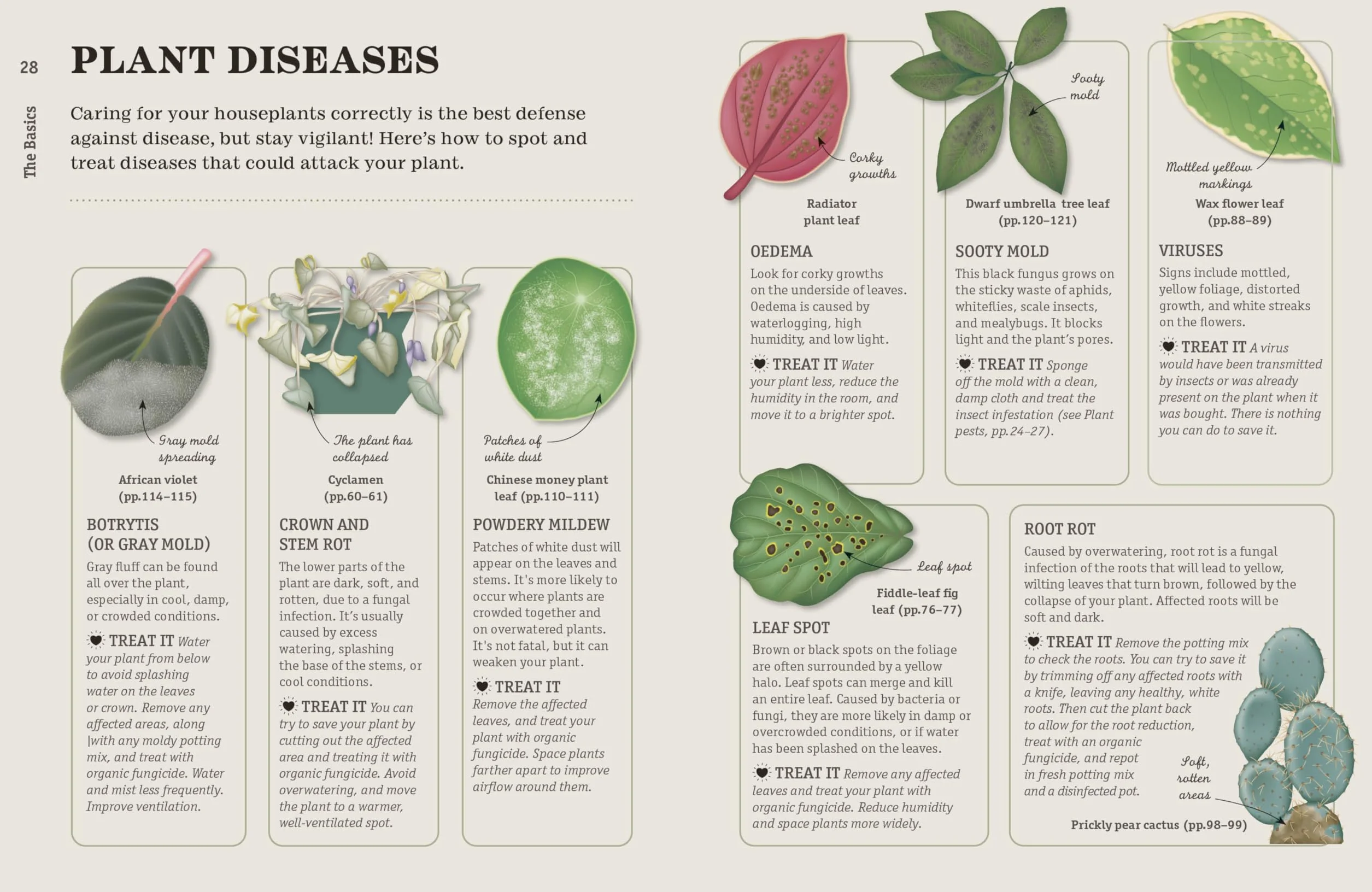 How Not to Kill Your Houseplant New Edition: Survival Tips for the Horticulturally Challenged