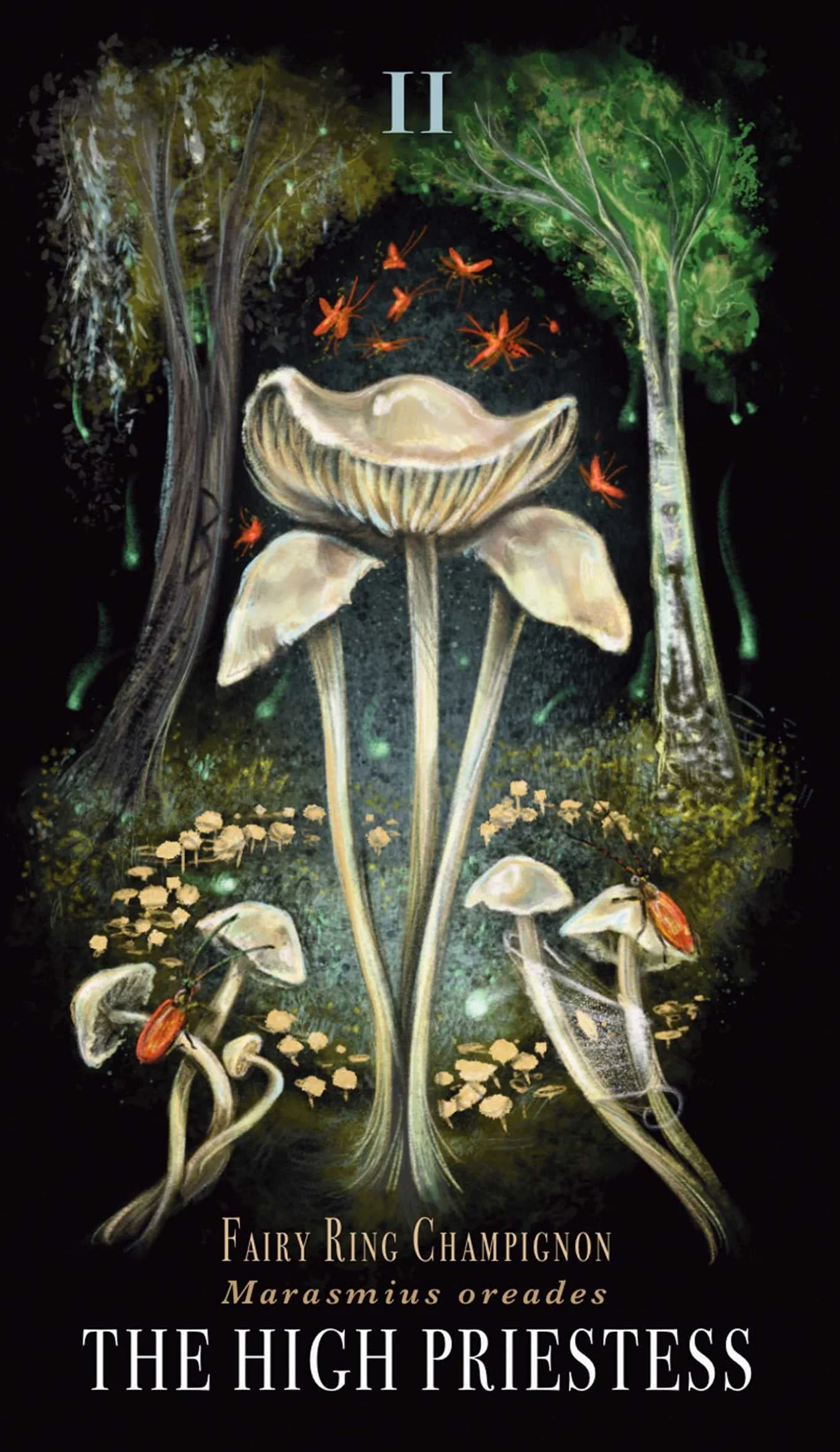 Midnight Magic: A Tarot Deck of Mushrooms