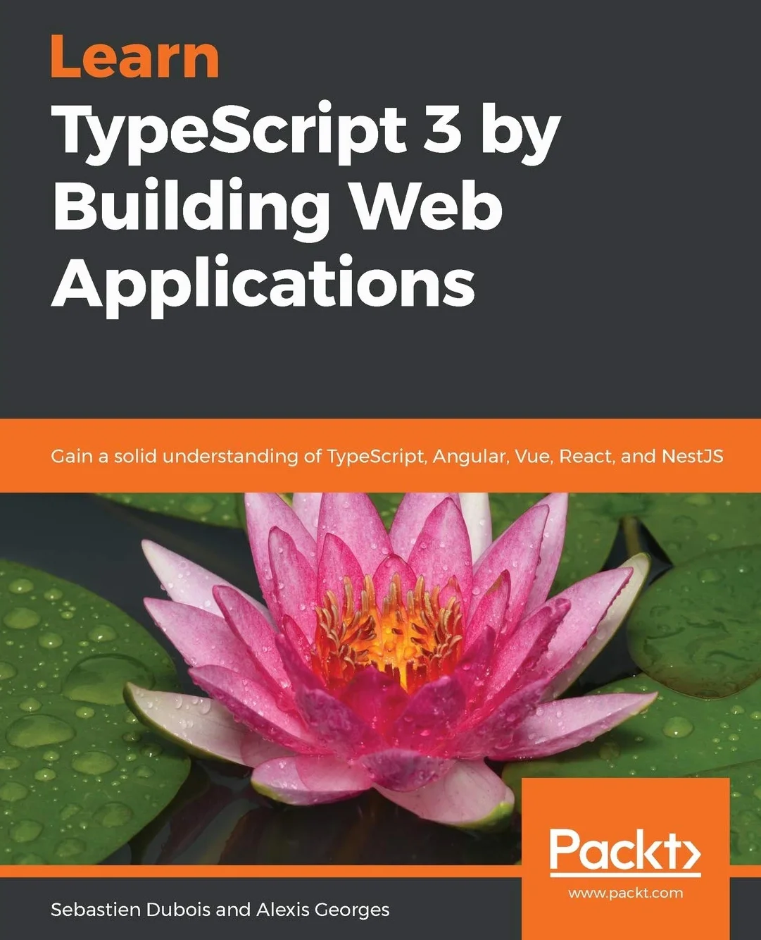 Learn TypeScript 3 by Building Web Applications: Gain a solid understanding of TypeScript, Angular, Vue, React, and NestJS