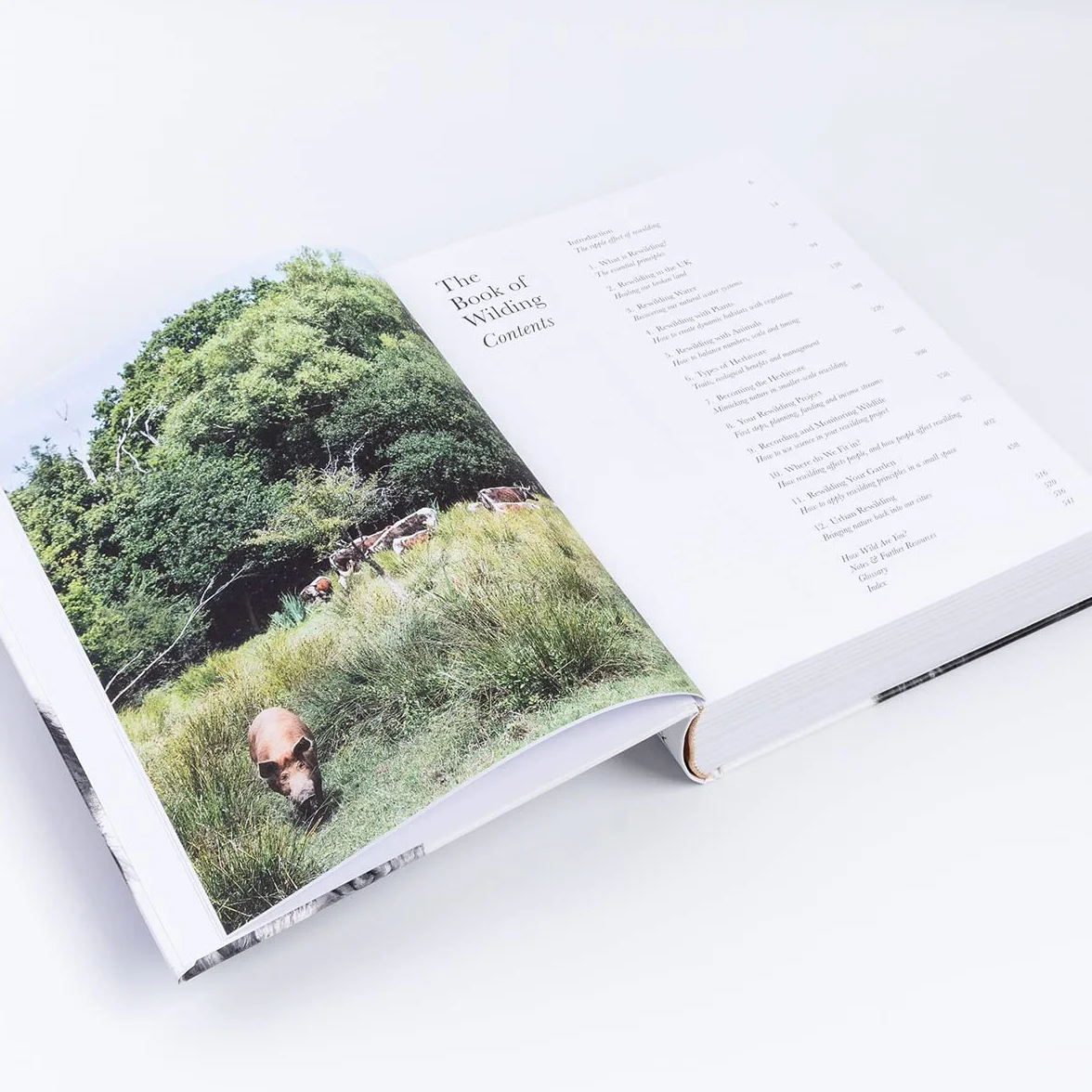 The Book of Wilding: A Practical Guide to Rewilding, Big and Small