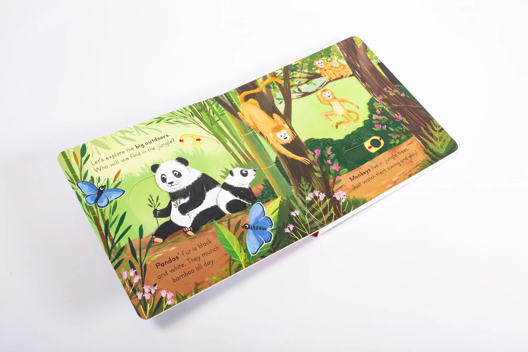 Big Outdoors for Little Explorers: Jungle