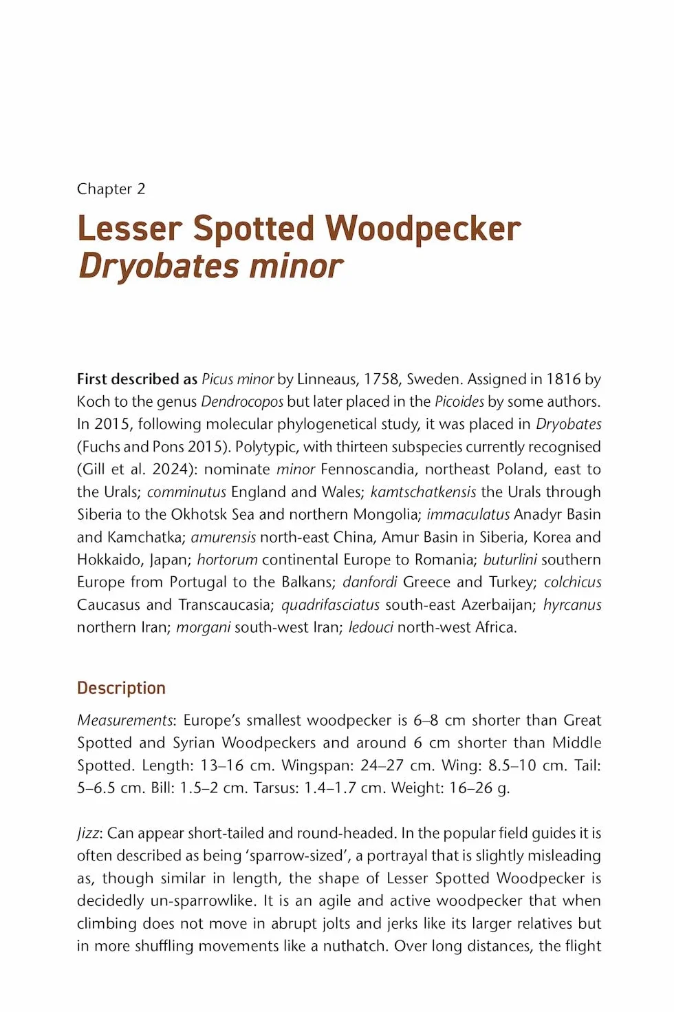 The Pied Woodpeckers: The Natural History of Europe's Black & White Woodpeckers
