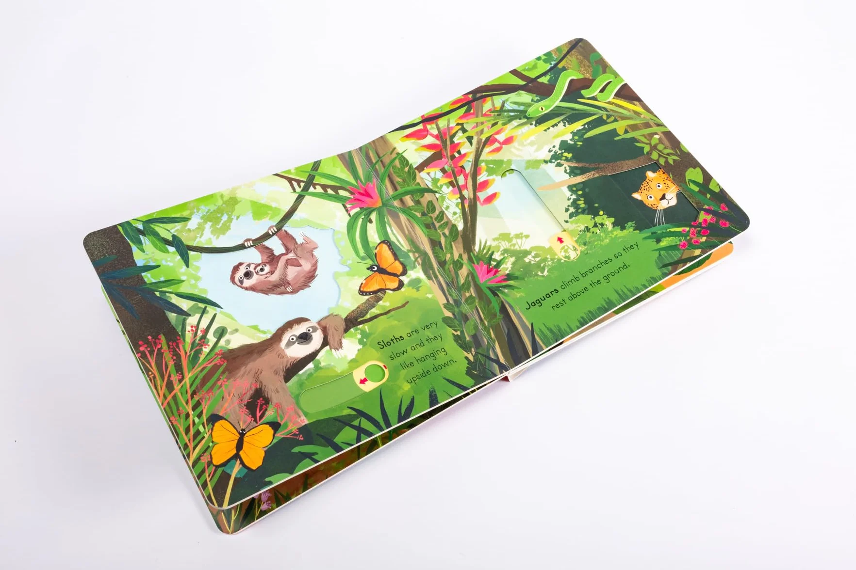 Big Outdoors for Little Explorers: Jungle