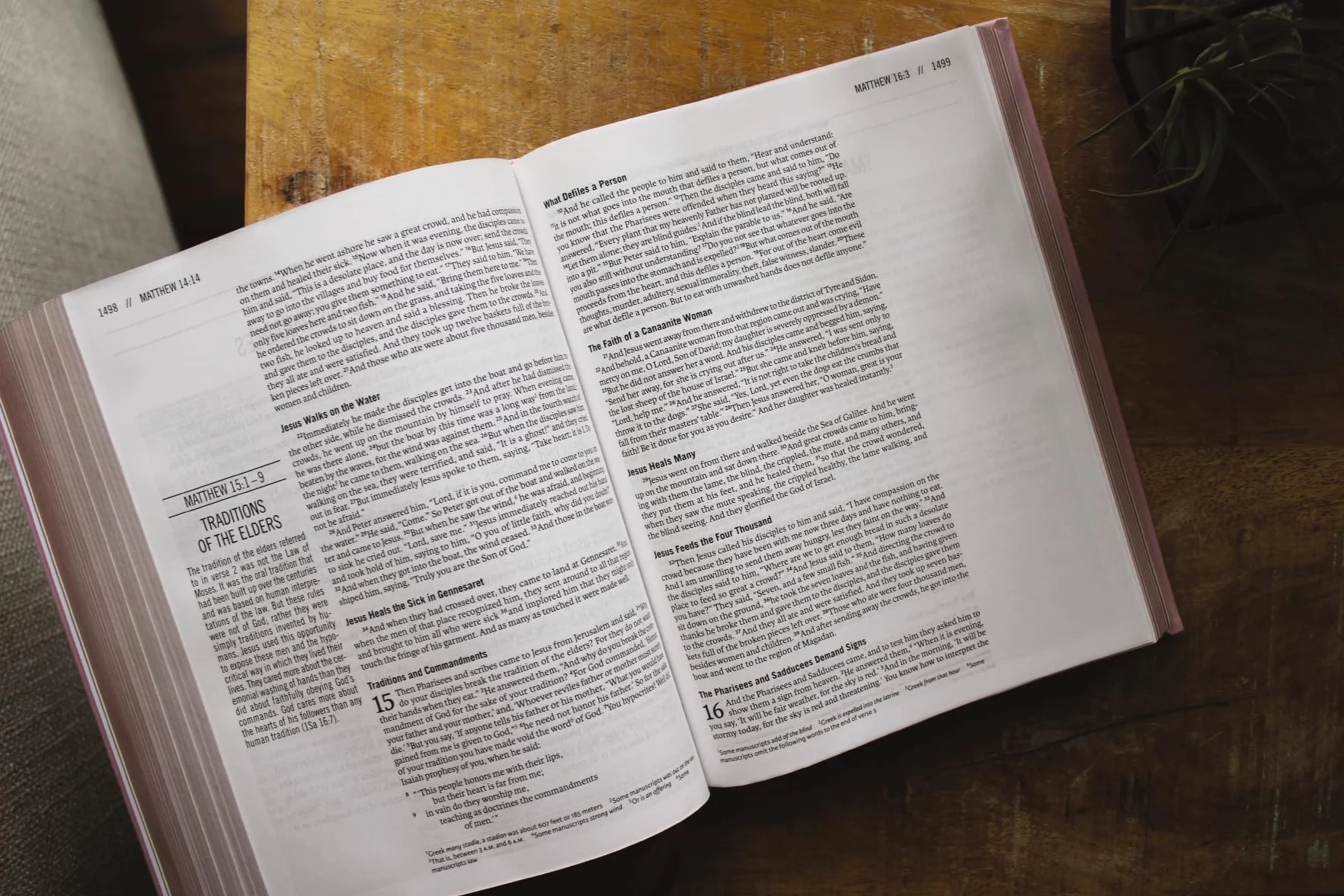 The Jesus Bible, ESV Edition, Leathersoft Over Board, Pink: Sixty-Six Books. One Story. All About One Name.