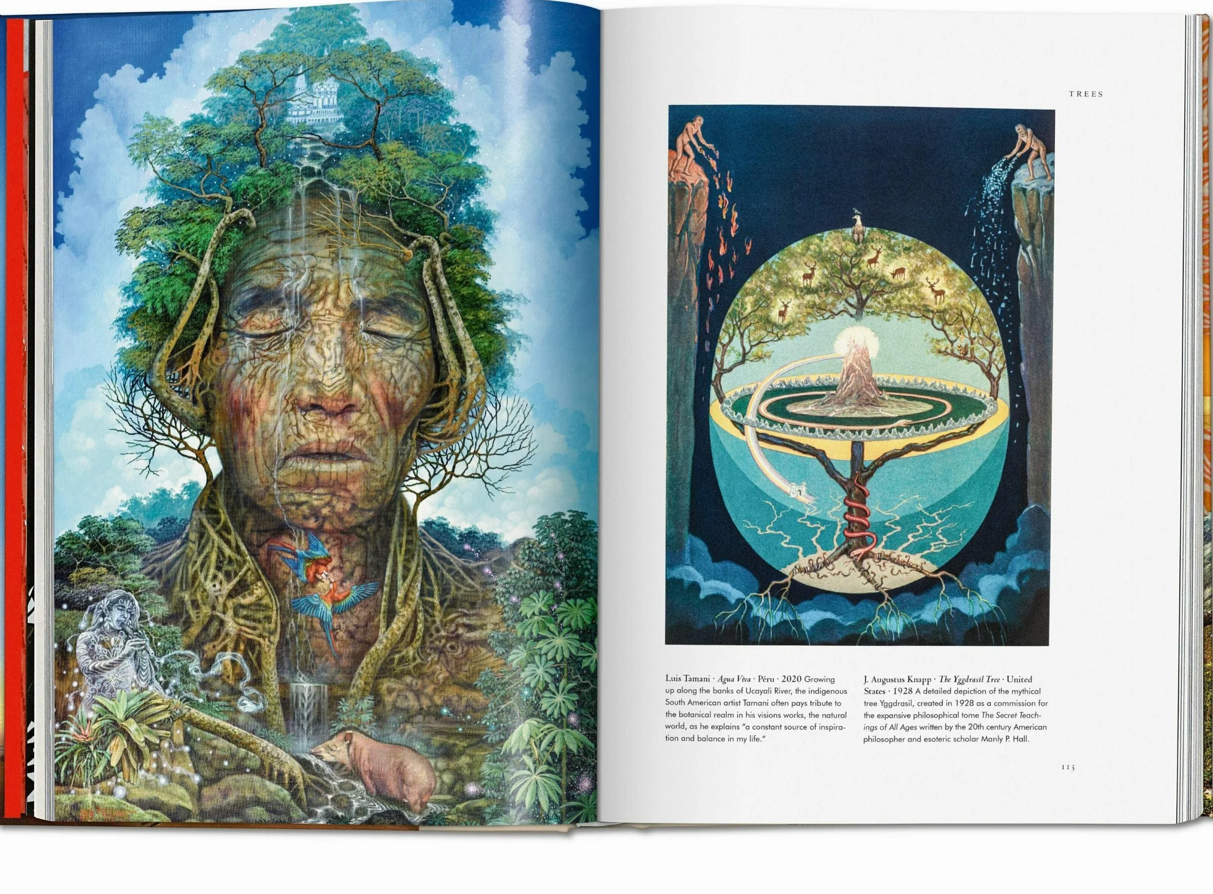 Plant Magick. the Library of Esoterica