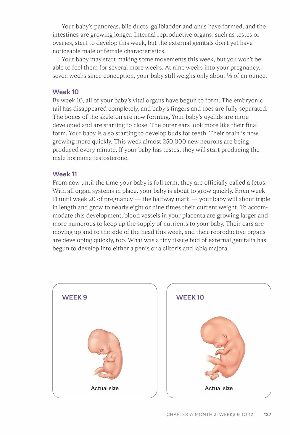 Mayo Clinic Guide to a Healthy Pregnancy, 3rd Edition: Evidence-Based Insight and Real-Life Tips for Expecting Parents, from the World's Leading Medical Experts