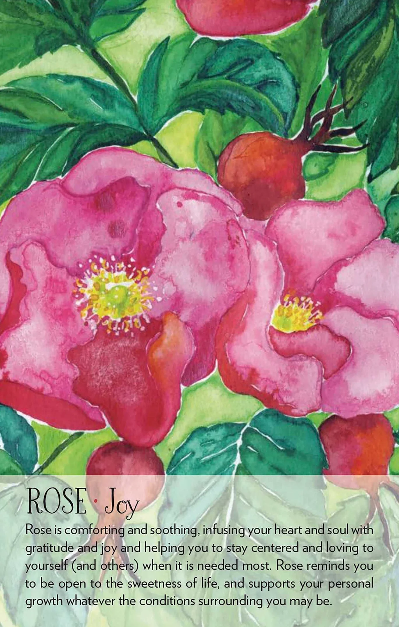 Soulflower Plant Spirit Oracle: 44-Card Deck and Guidebook
