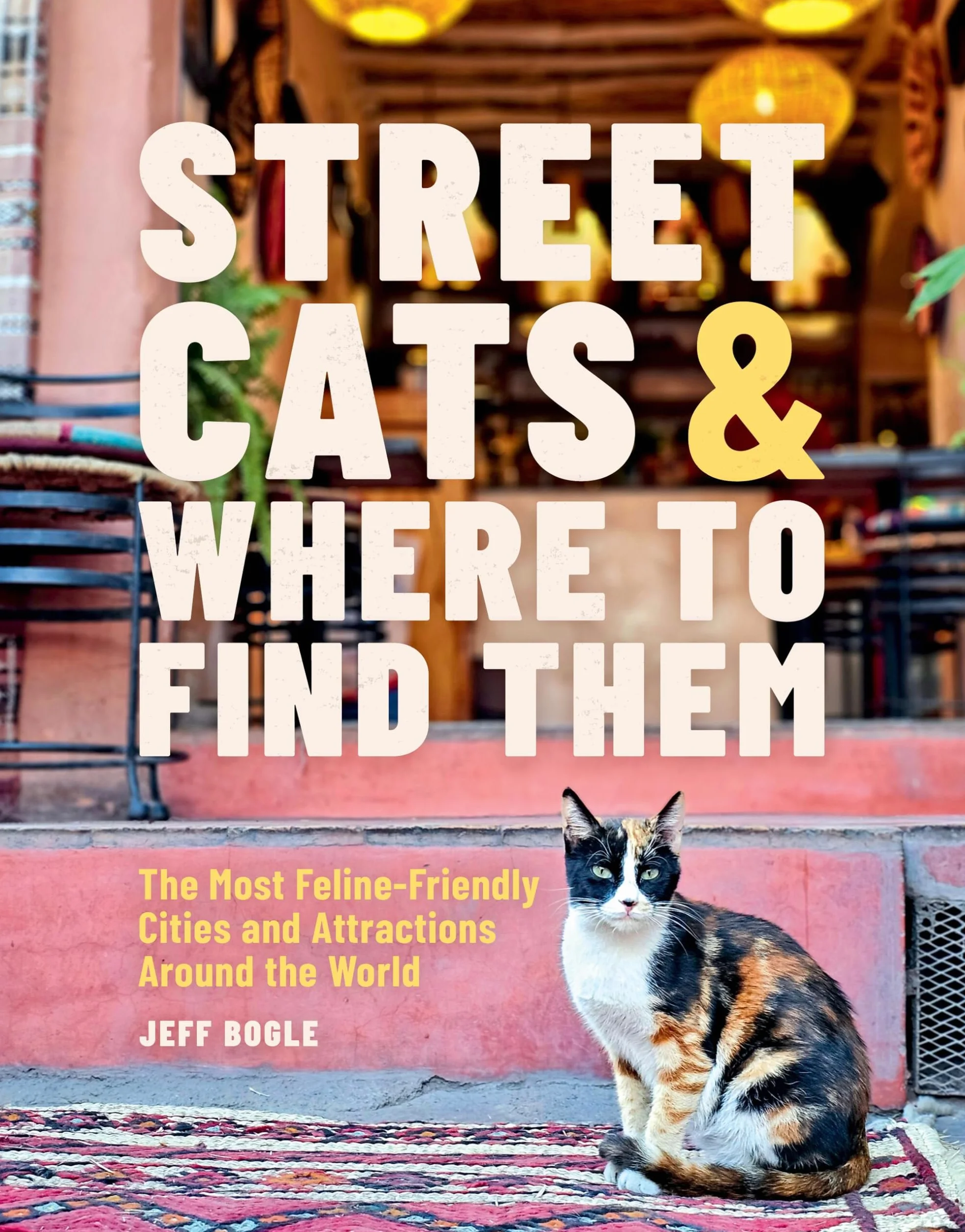 Street Cats & Where to Find Them: The Most Feline-Friendly Cities and Attractions Around the World