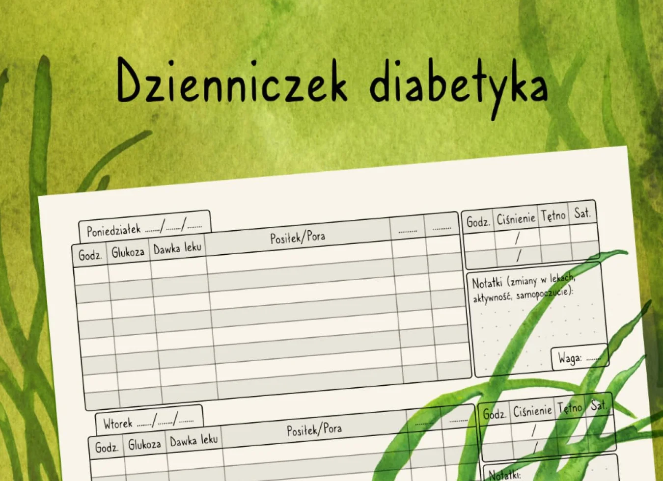 Dzienniczek diabetyka: Praktyczny dziennik dla cukrzyków do monitorowania posiłków, poziomu glukozy, ciśnienia krwi i innych parametrów | Kieszonkowy notes A5 | Spokojna okładka