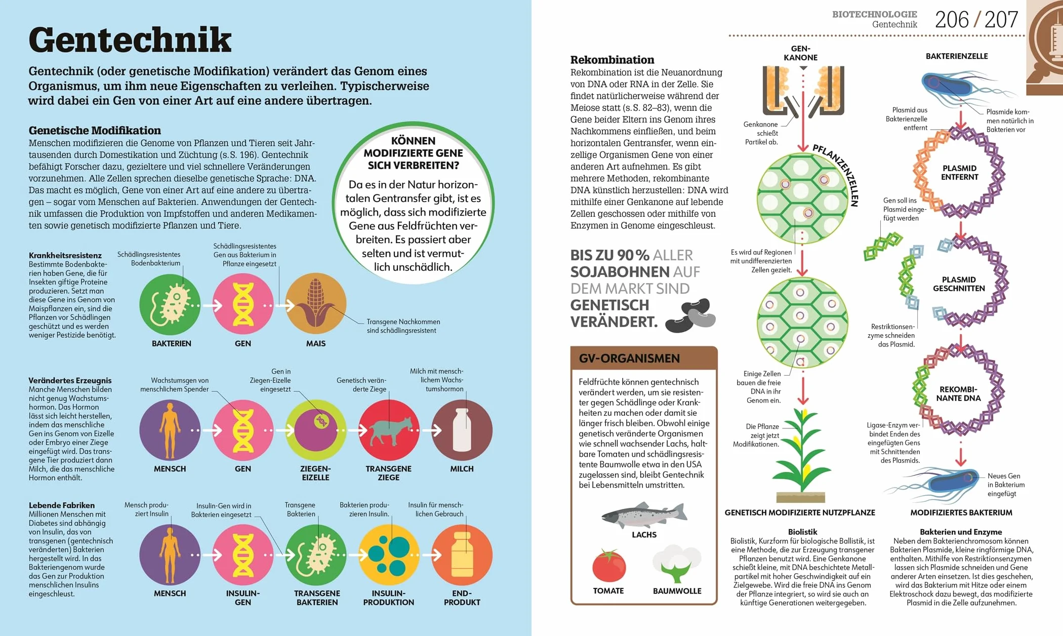 #dkinfografik. Biologie einfach erklärt: Genetik, Evolution, Ökologie. Leicht verständliche und visuell aufbereitete Einführung in die Biologie