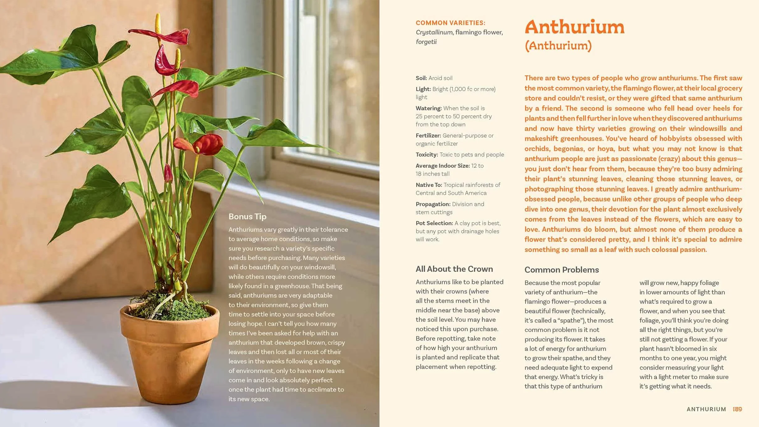 For the Love of Houseplants: Caring for & Keeping Plants with Confidence