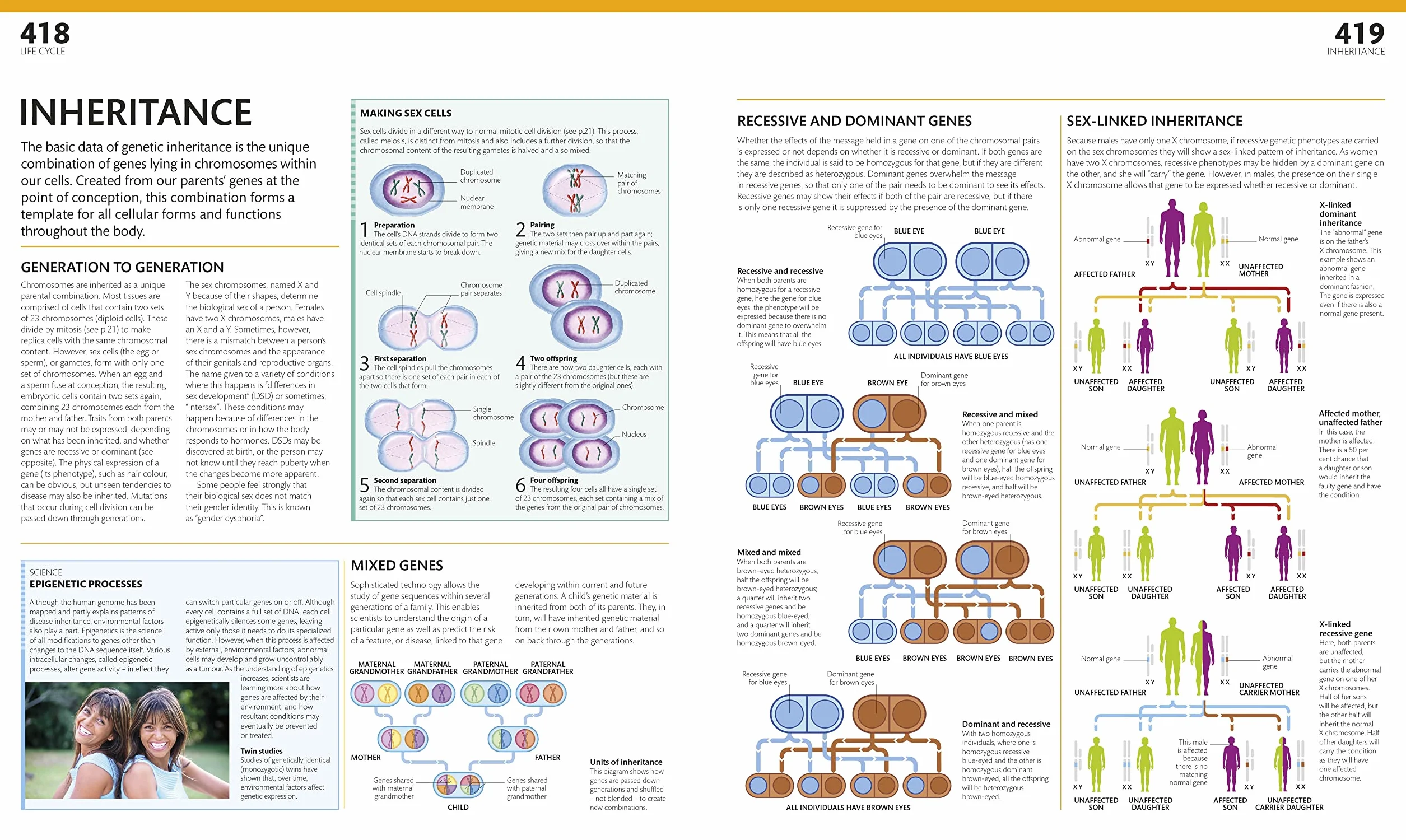 The Complete Human Body: The Definitive Visual Guide