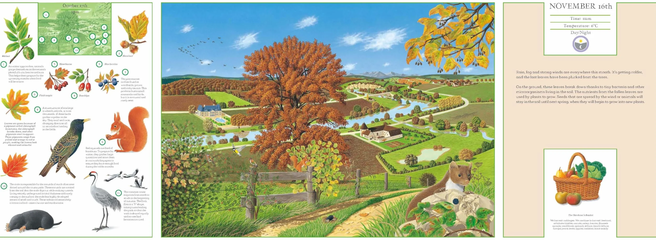 A Year in Nature: Explore the Countryside, Month by Month
