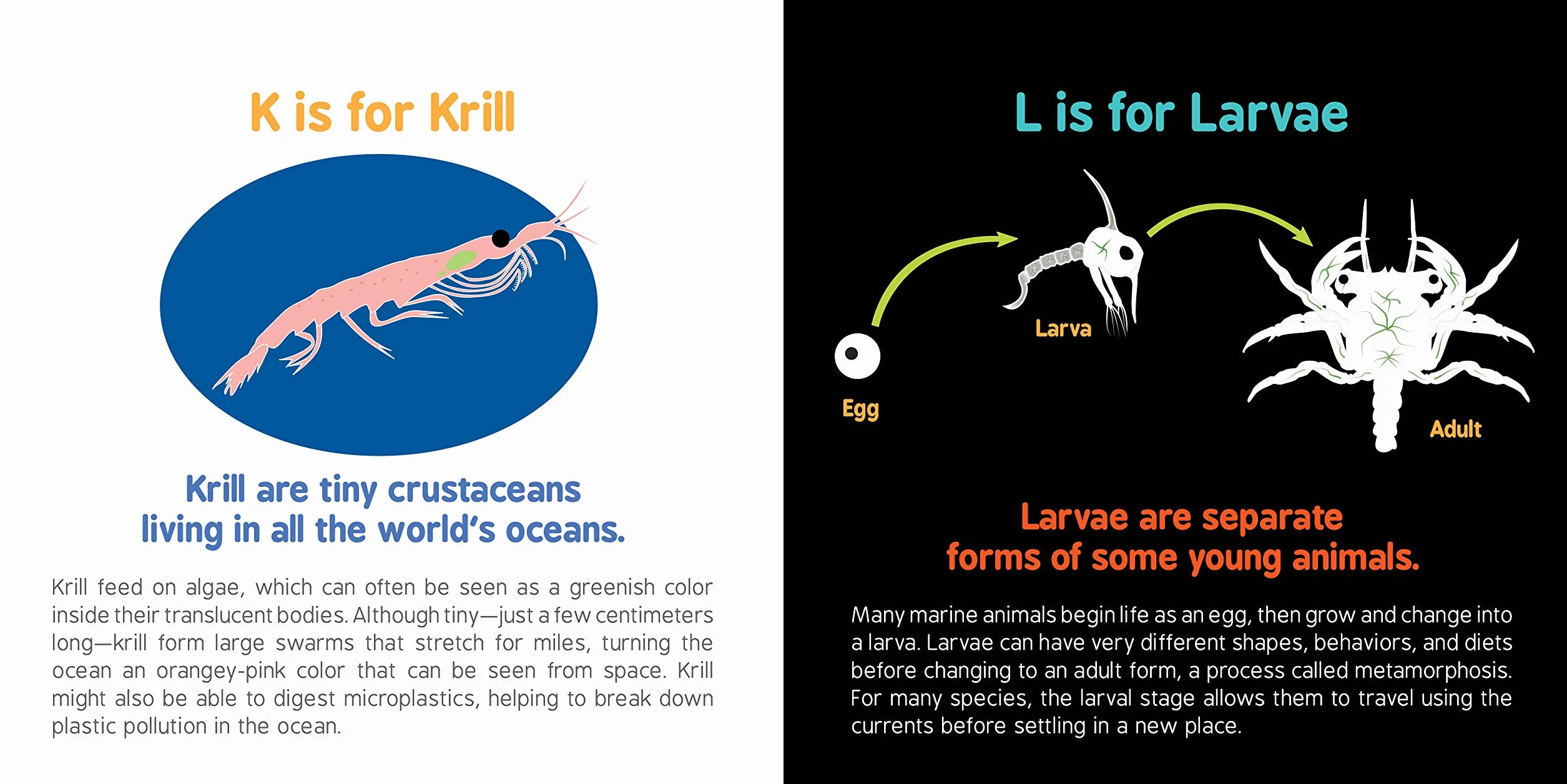 ABCs of Oceanography: 1 (Baby University)