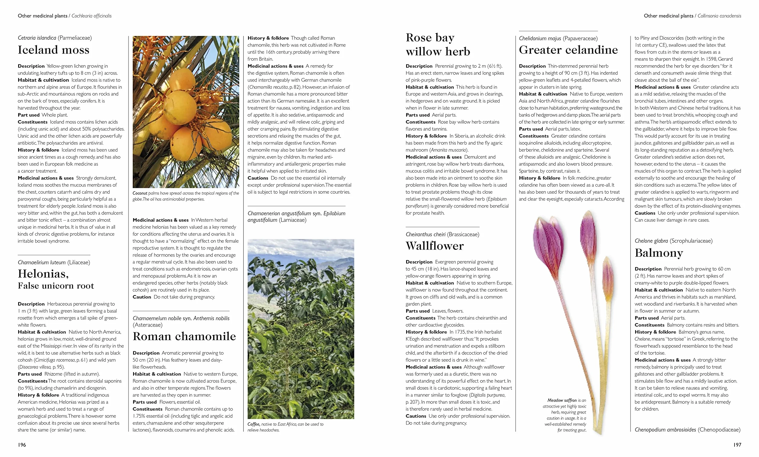 Encyclopedia of Herbal Medicine New Edition: 560 Herbs and Remedies for Common Ailments