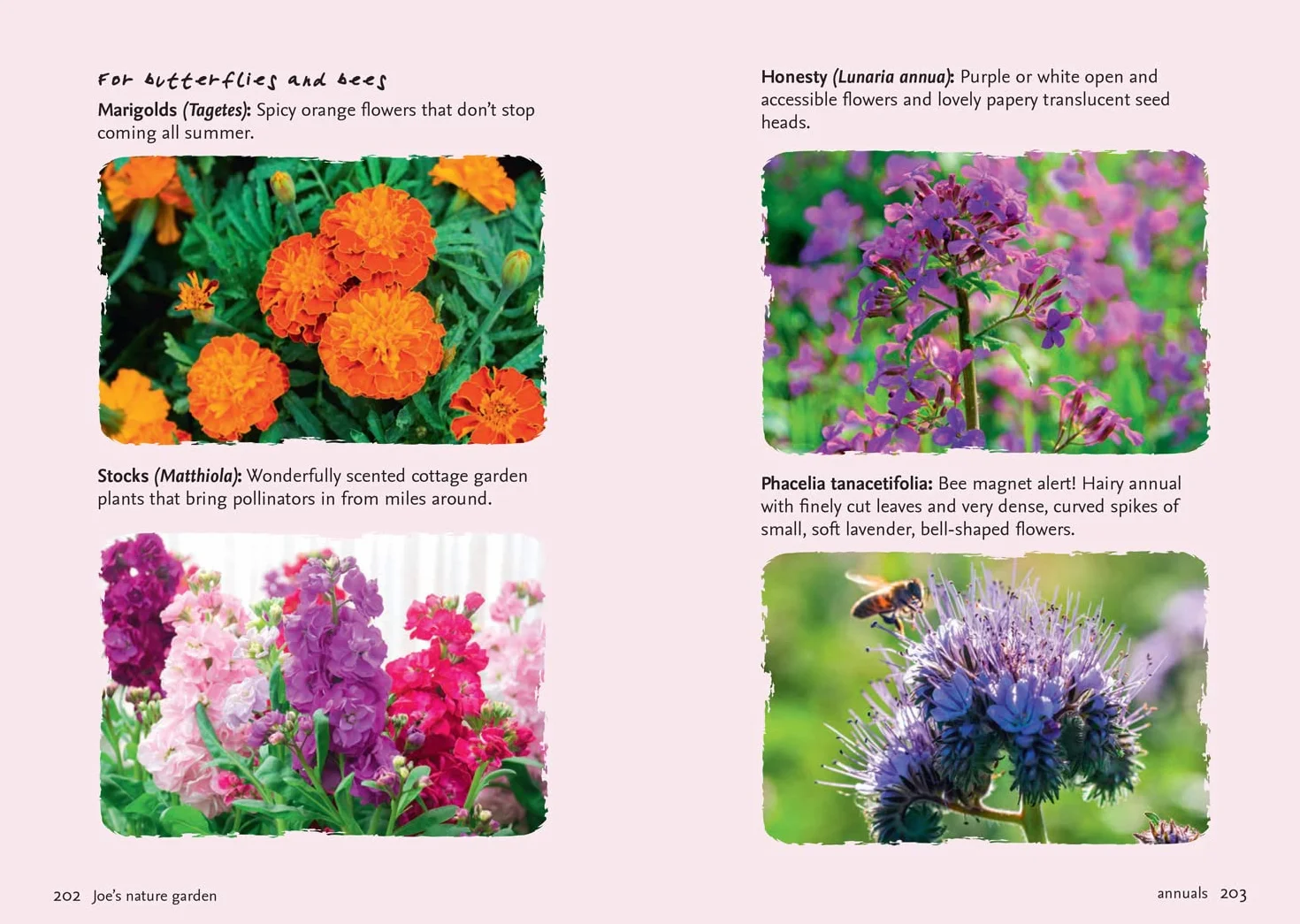 Nature Garden: Beginner’s guide to designing a wildlife garden