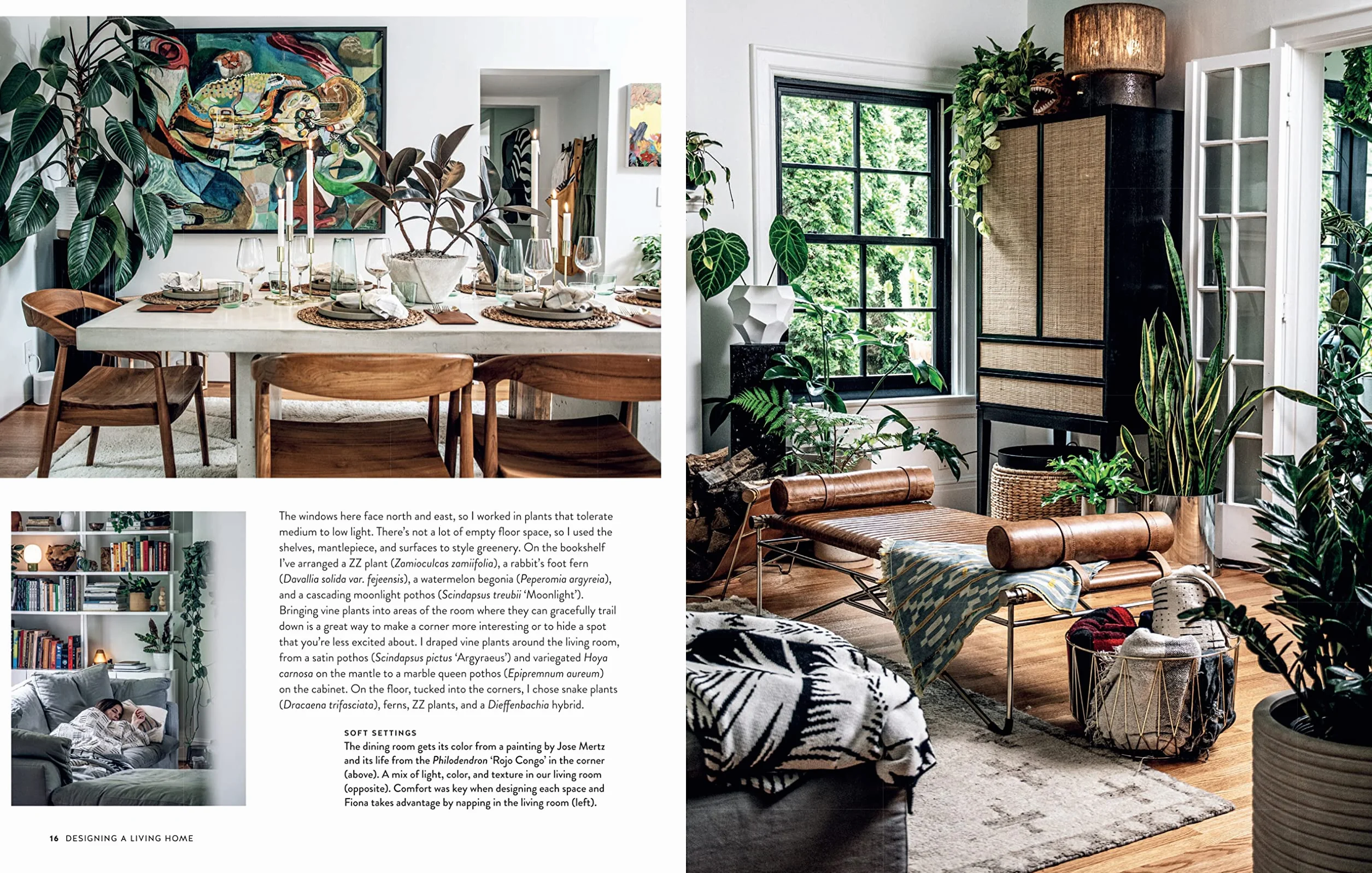 Living Wild: How to Plant Style Your Home and Cultivate Happiness