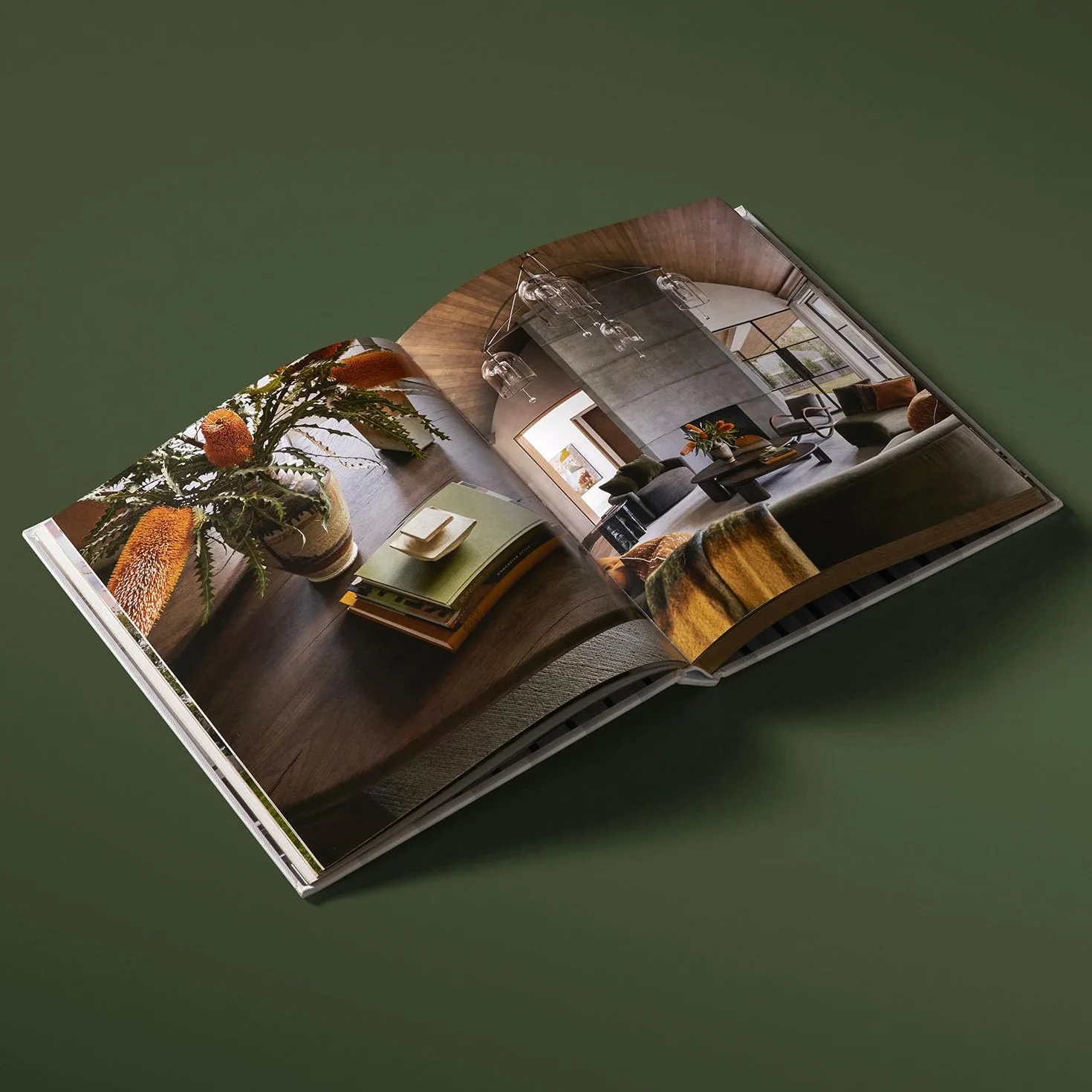 Benjamin Johnston Refined Interiors /anglais: Timeless Homes for Modern Living