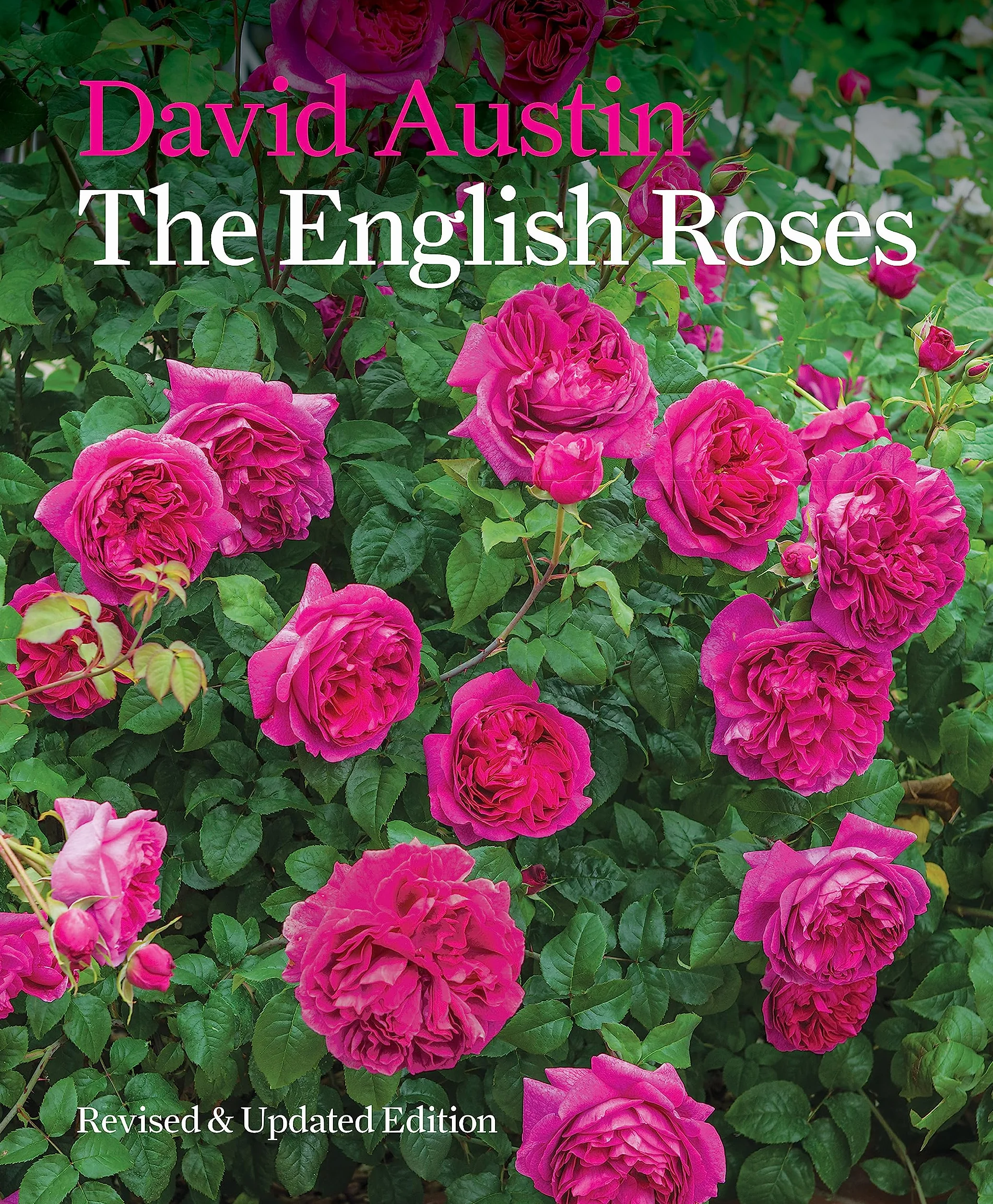 The English Roses