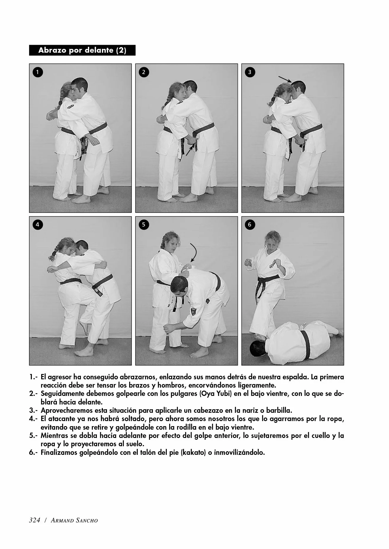 Karate do Kyokushinkai (Volumen 2º): Tecnica superior, kata, kumite y defensa personal