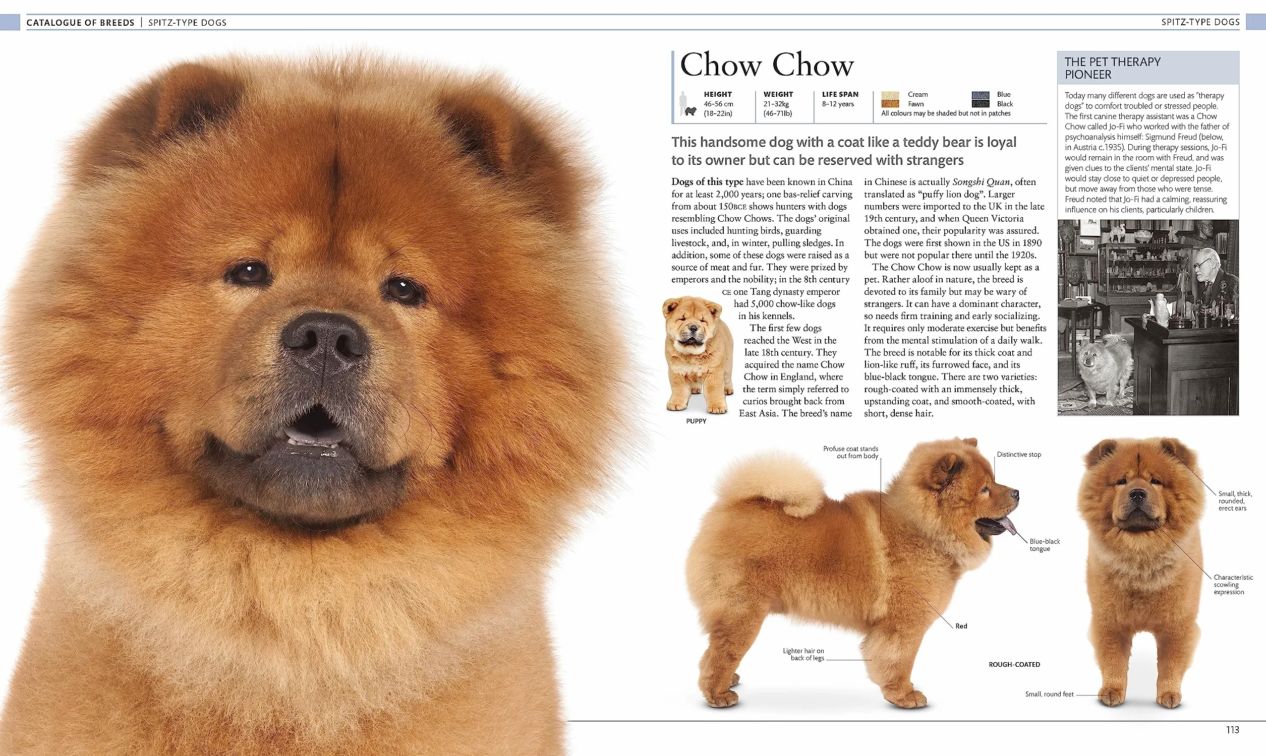 The Dog Encyclopedia: The Definitive Visual Guide