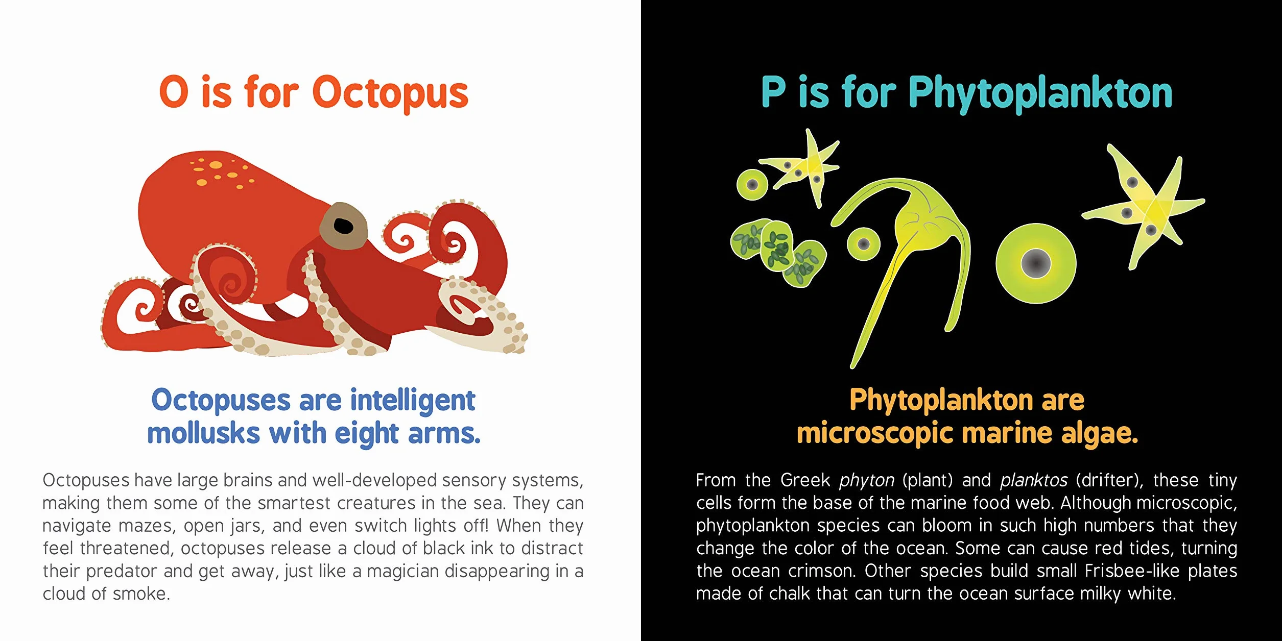 ABCs of Oceanography: 1 (Baby University)