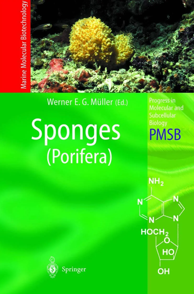 Sponges (Porifera): 37