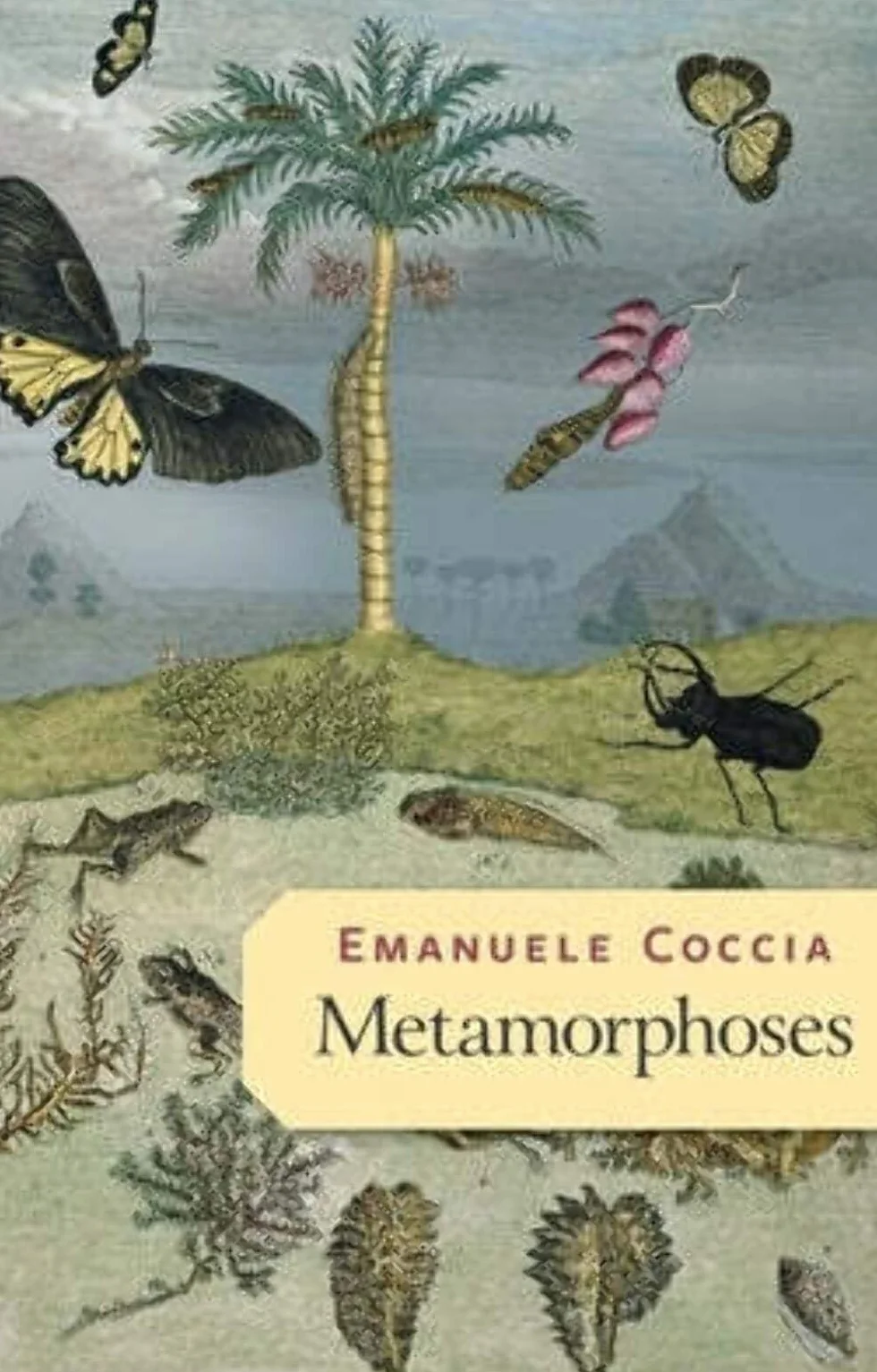 Metamorphoses