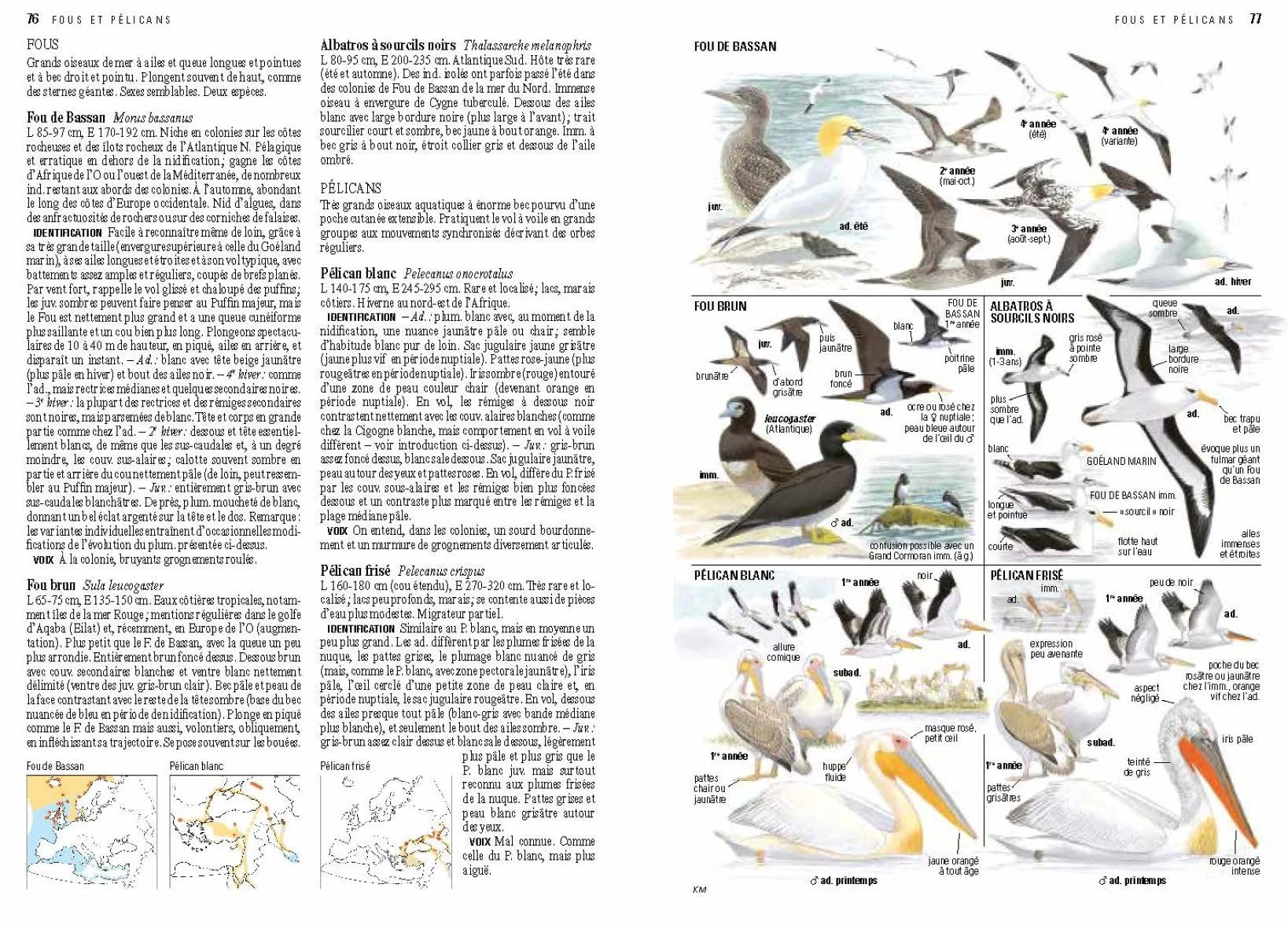Le guide ornitho: Le guide le plus complet des oiseaux d'Europe, d'Afrique du Nord et du Moyen-Orient