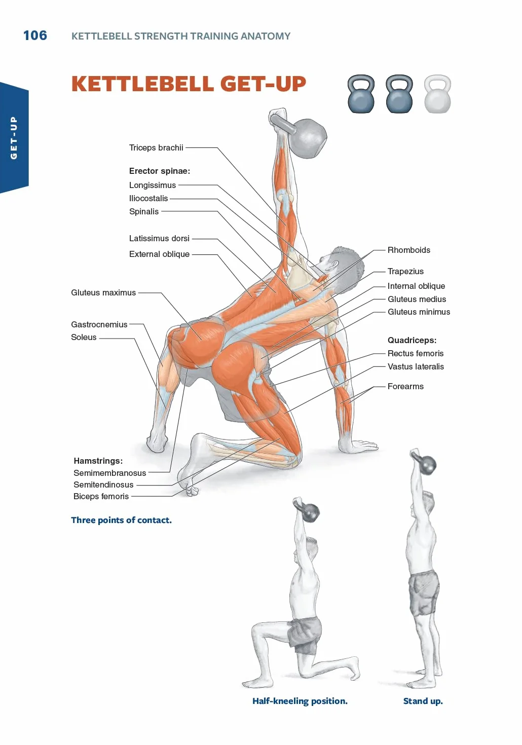 Kettlebell Strength Training Anatomy