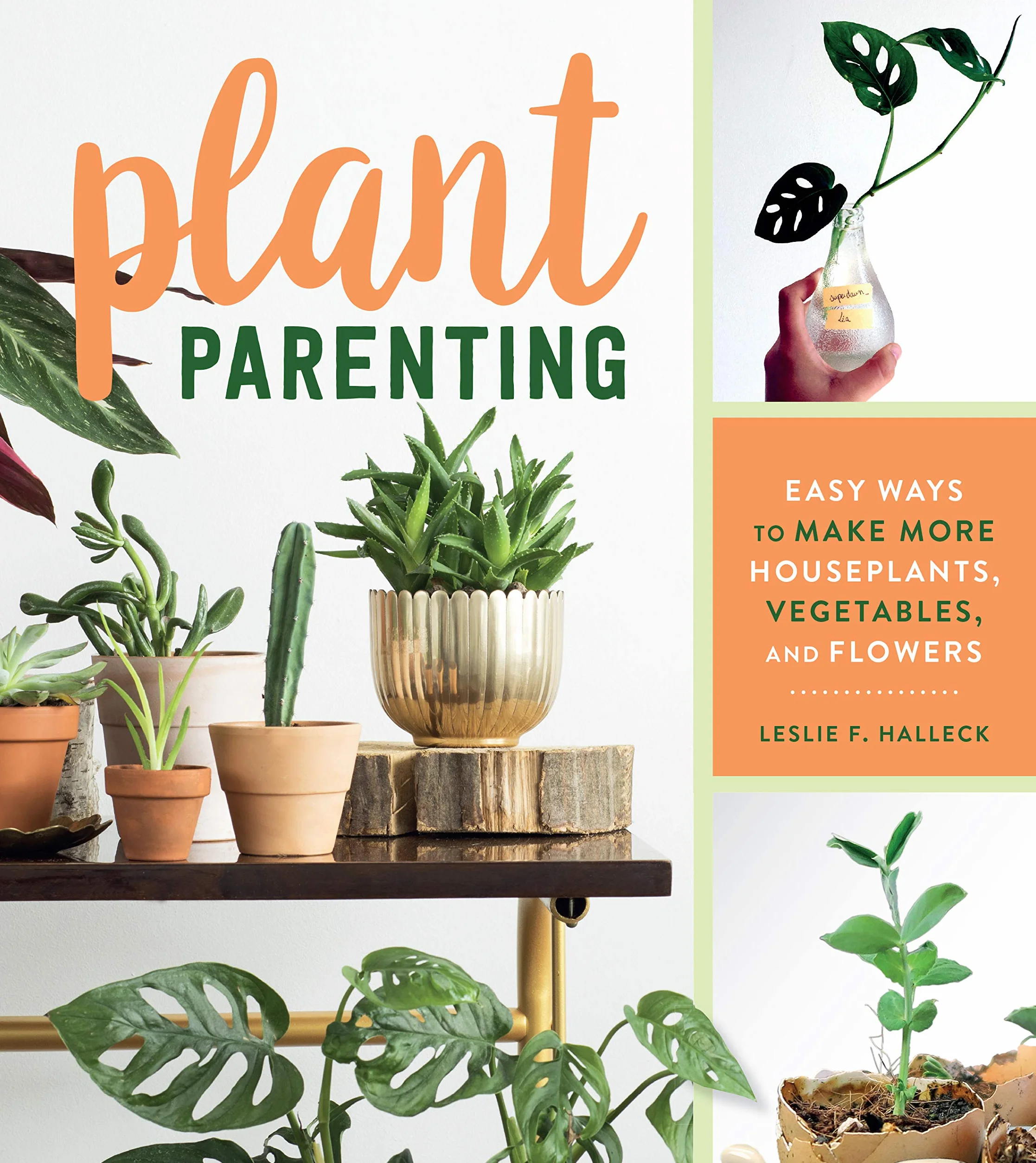 Plant Parenting: Easy Ways to Make More Houseplants, Vegetables, and Flowers