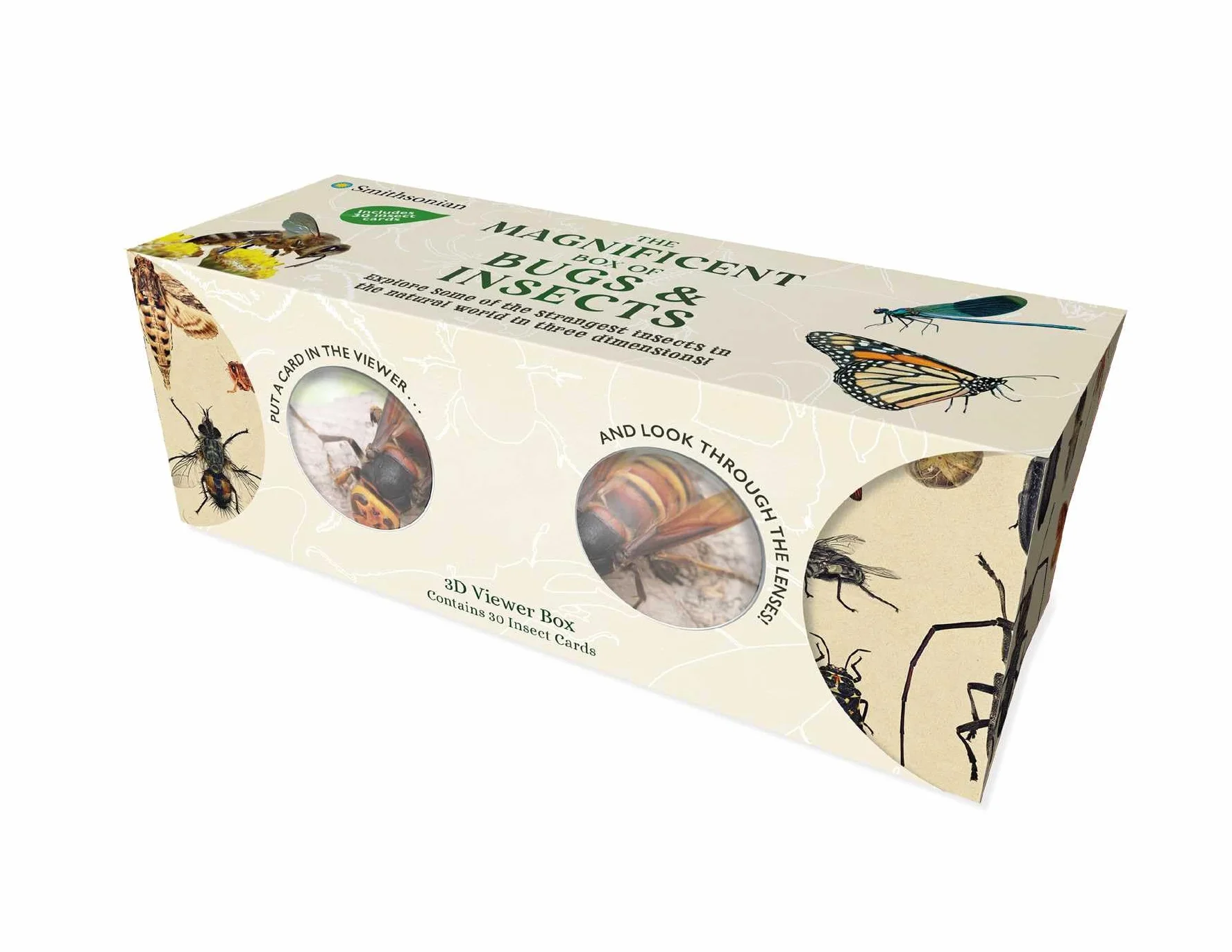 The Magnificent Box of Bugs and Insects