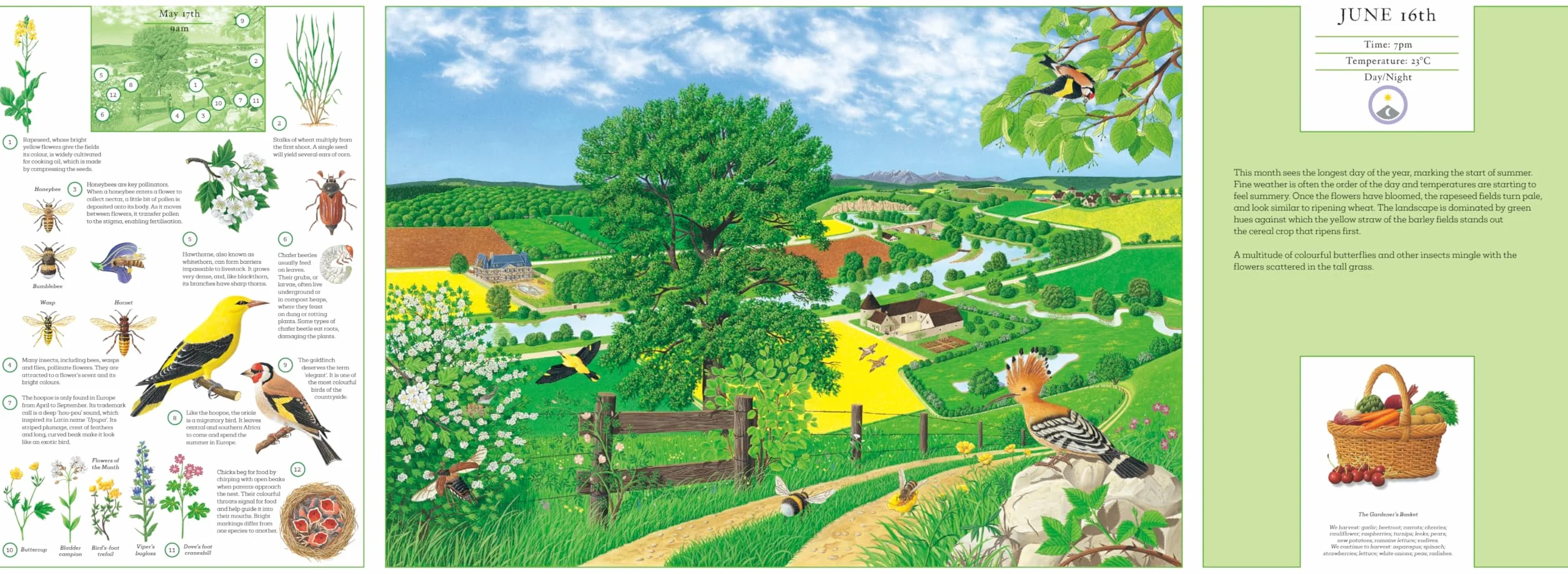 A Year in Nature: Explore the Countryside, Month by Month