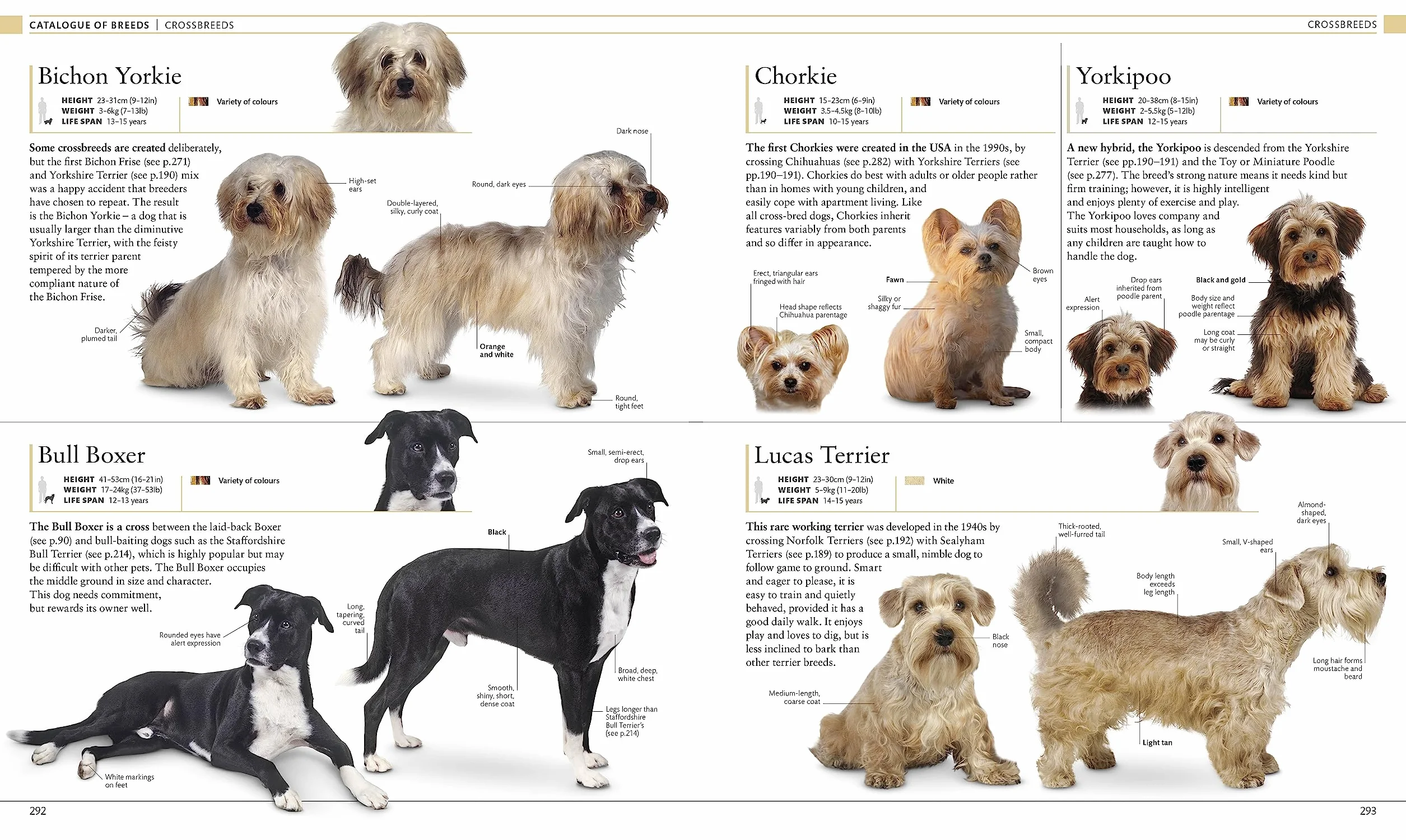 The Dog Encyclopedia: The Definitive Visual Guide