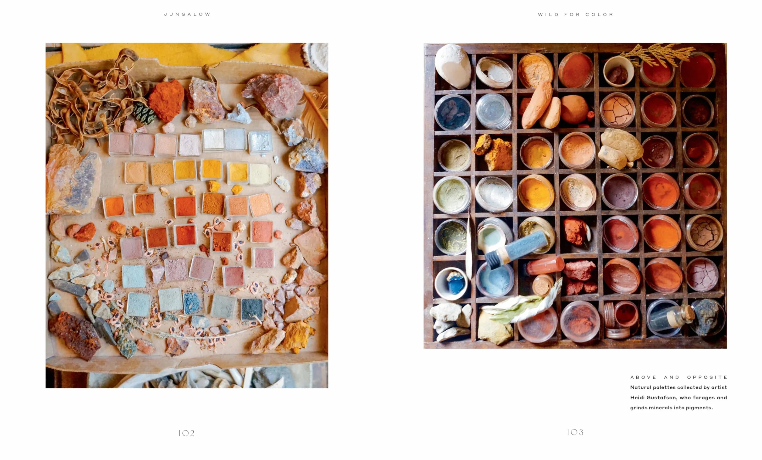 Jungalow: Decorate Wild: The Life and Style Guide