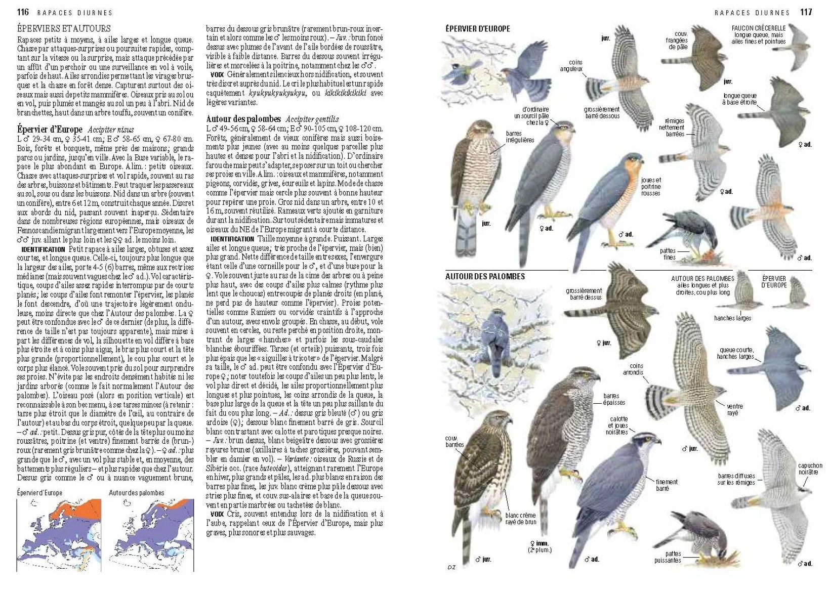 Le guide ornitho: Le guide le plus complet des oiseaux d'Europe, d'Afrique du Nord et du Moyen-Orient