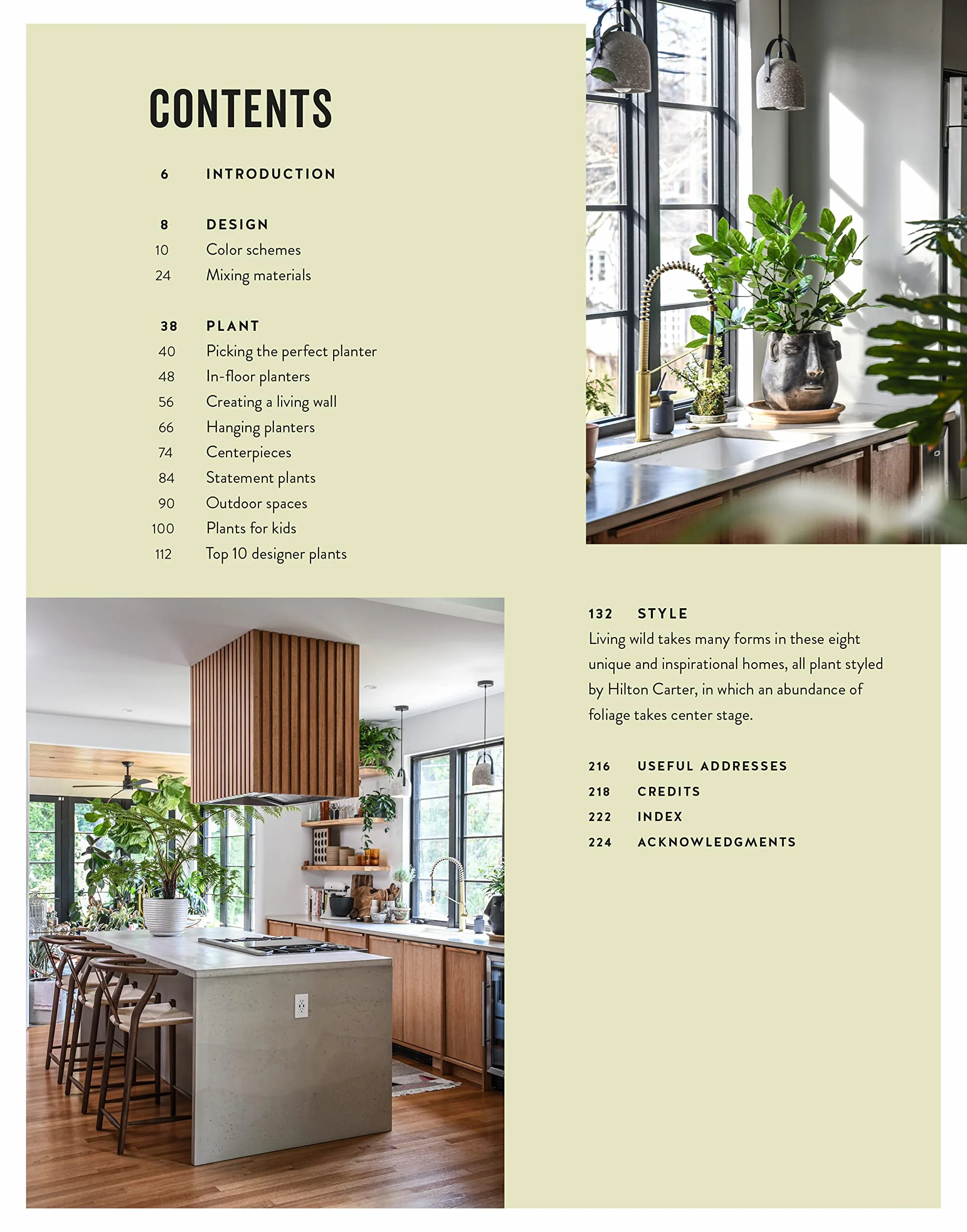 Living Wild: How to Plant Style Your Home and Cultivate Happiness