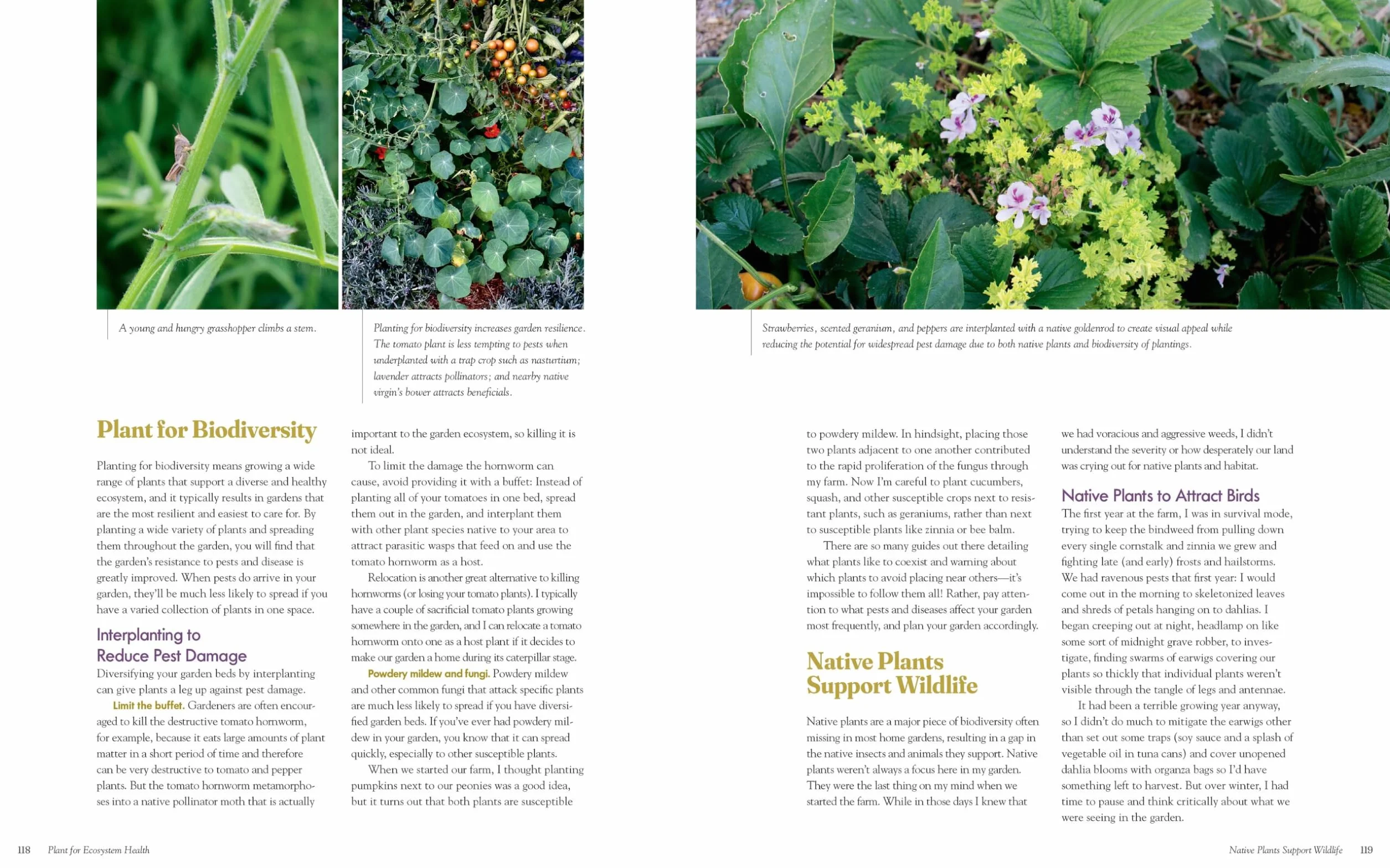 The Regenerative Gardener's Handbook: Essential Techniques for Growing a Garden That Leaves the Land Healthier Than You Found It