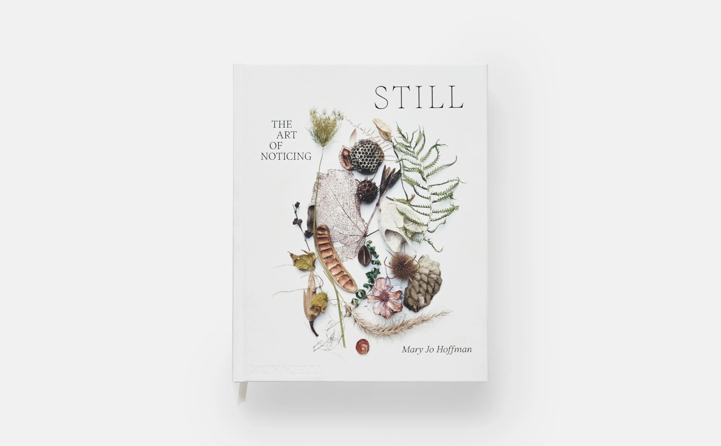 Still: The Art of Noticing