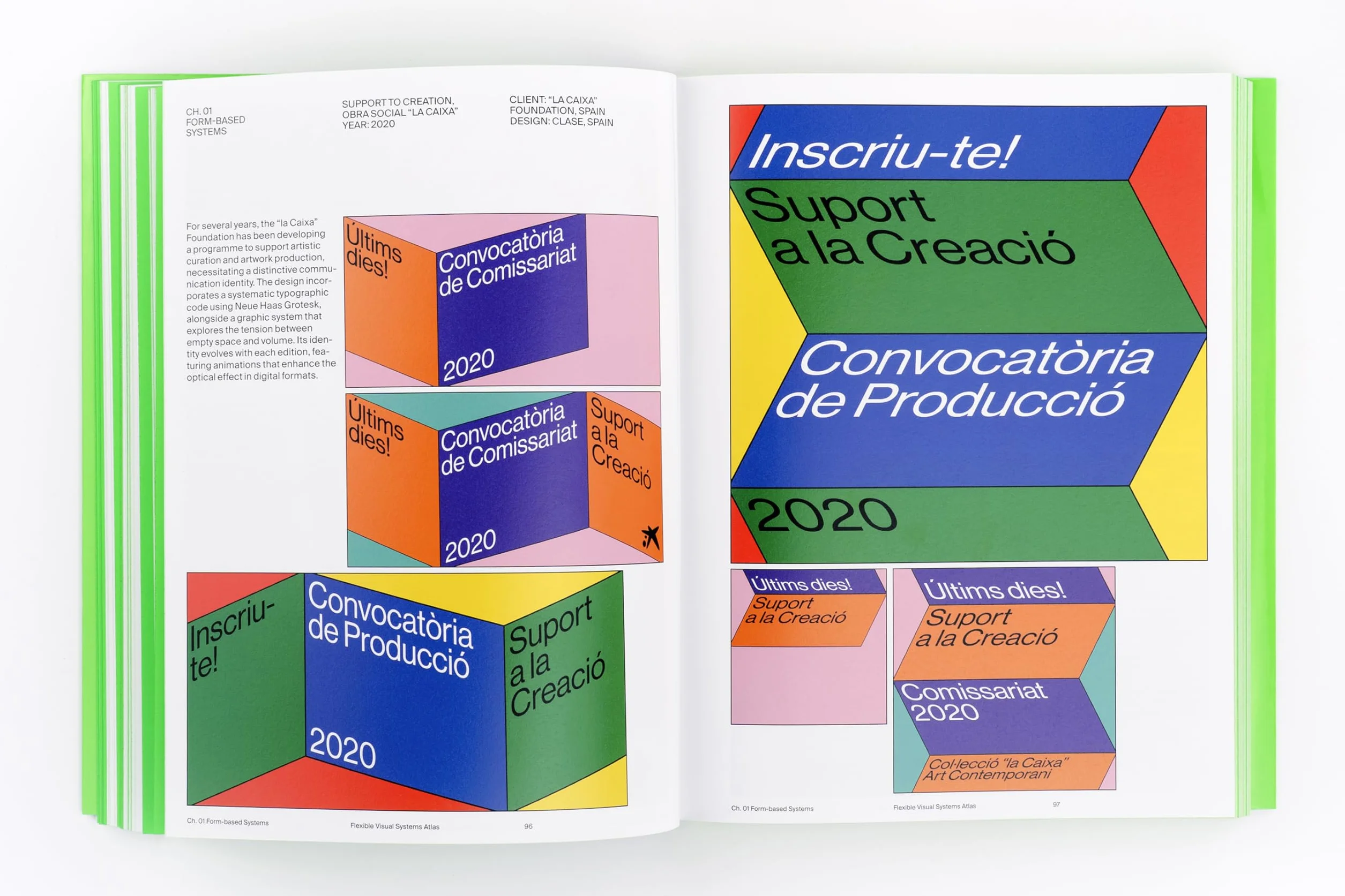 Flexible Visual Systems: The Fvs Atlas