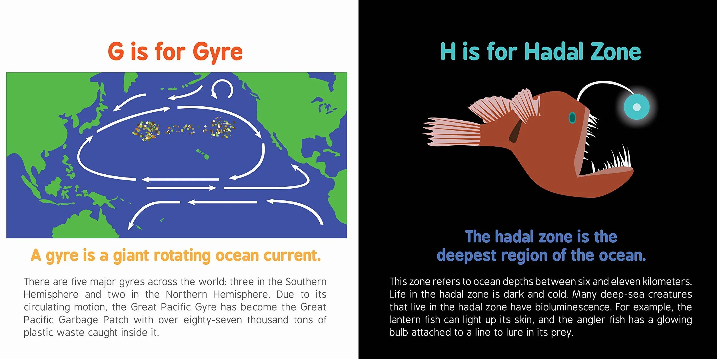ABCs of Oceanography: 1 (Baby University)