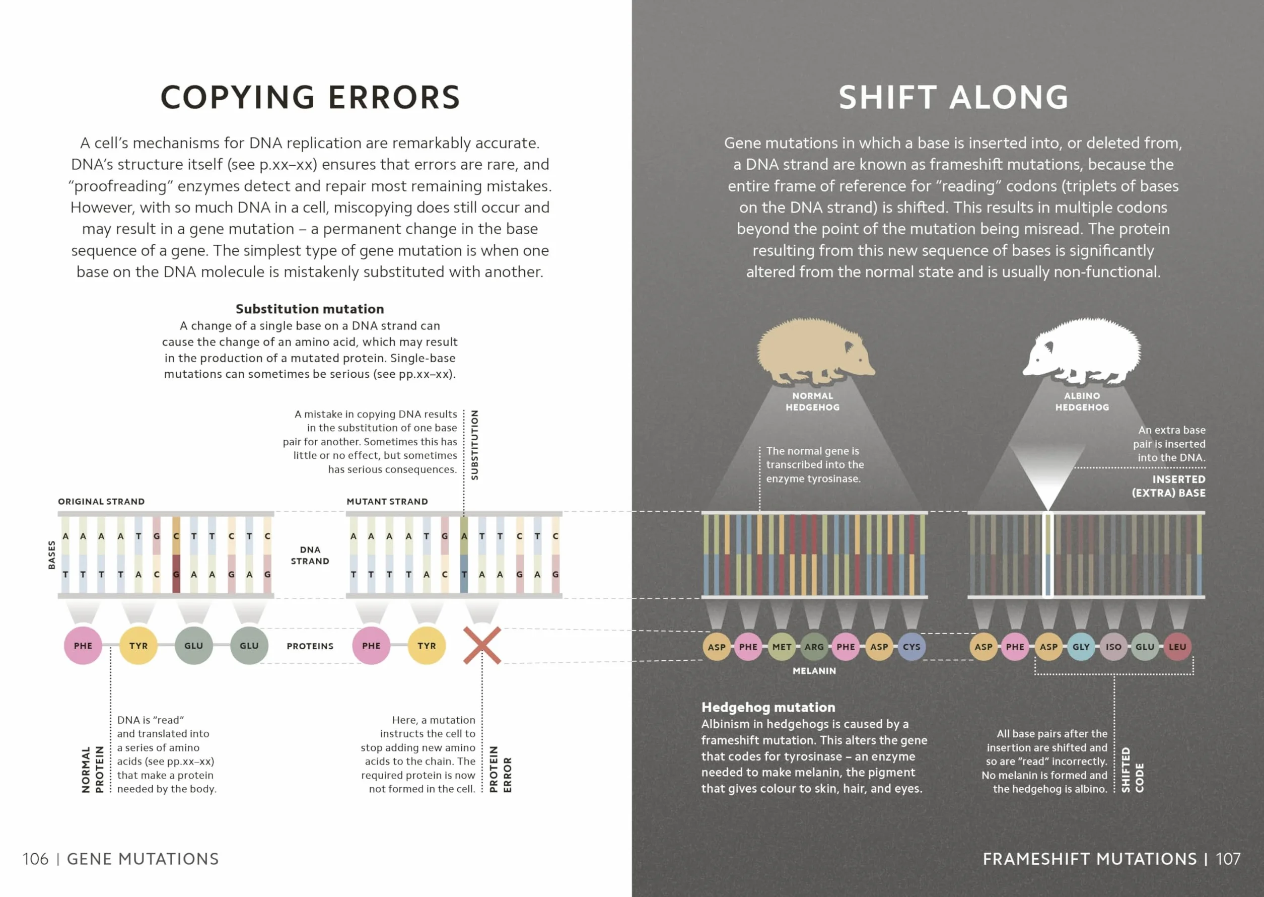 Simply Genetics: Facts Made Fast