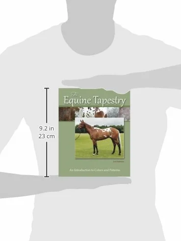 The Equine Tapestry: An Introduction to Colors and Patterns